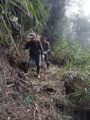 other image1-Shena historical trail will be renovated to connect Xinyi Township and Alishan Trail, April 16