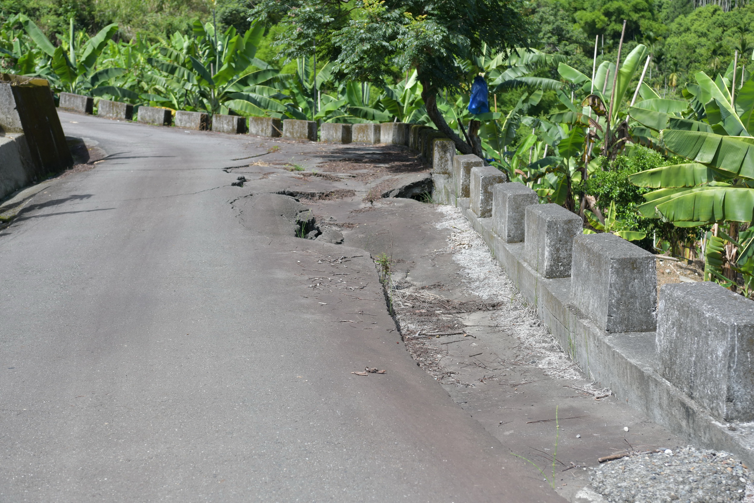 相關圖片4-縣府將花近千萬　改善中寮鄉道路