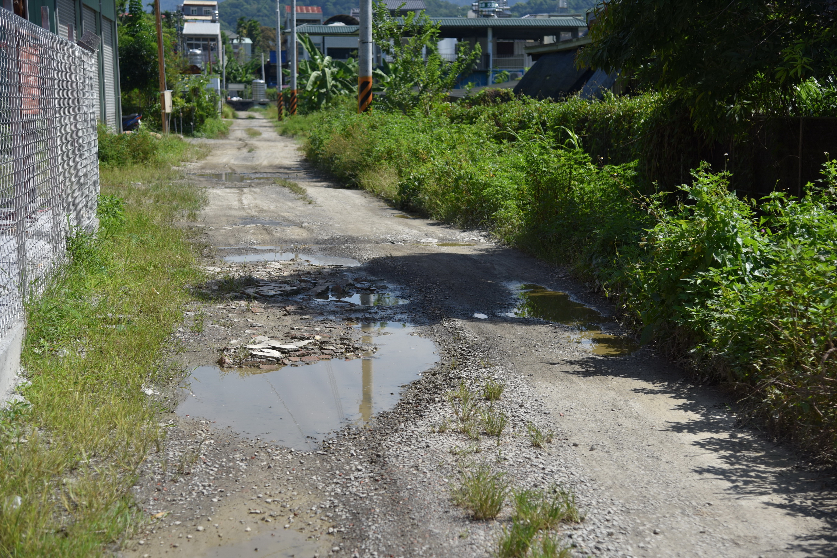相關圖片4-林縣長會勘埔里道路　將花千餘萬改善路況