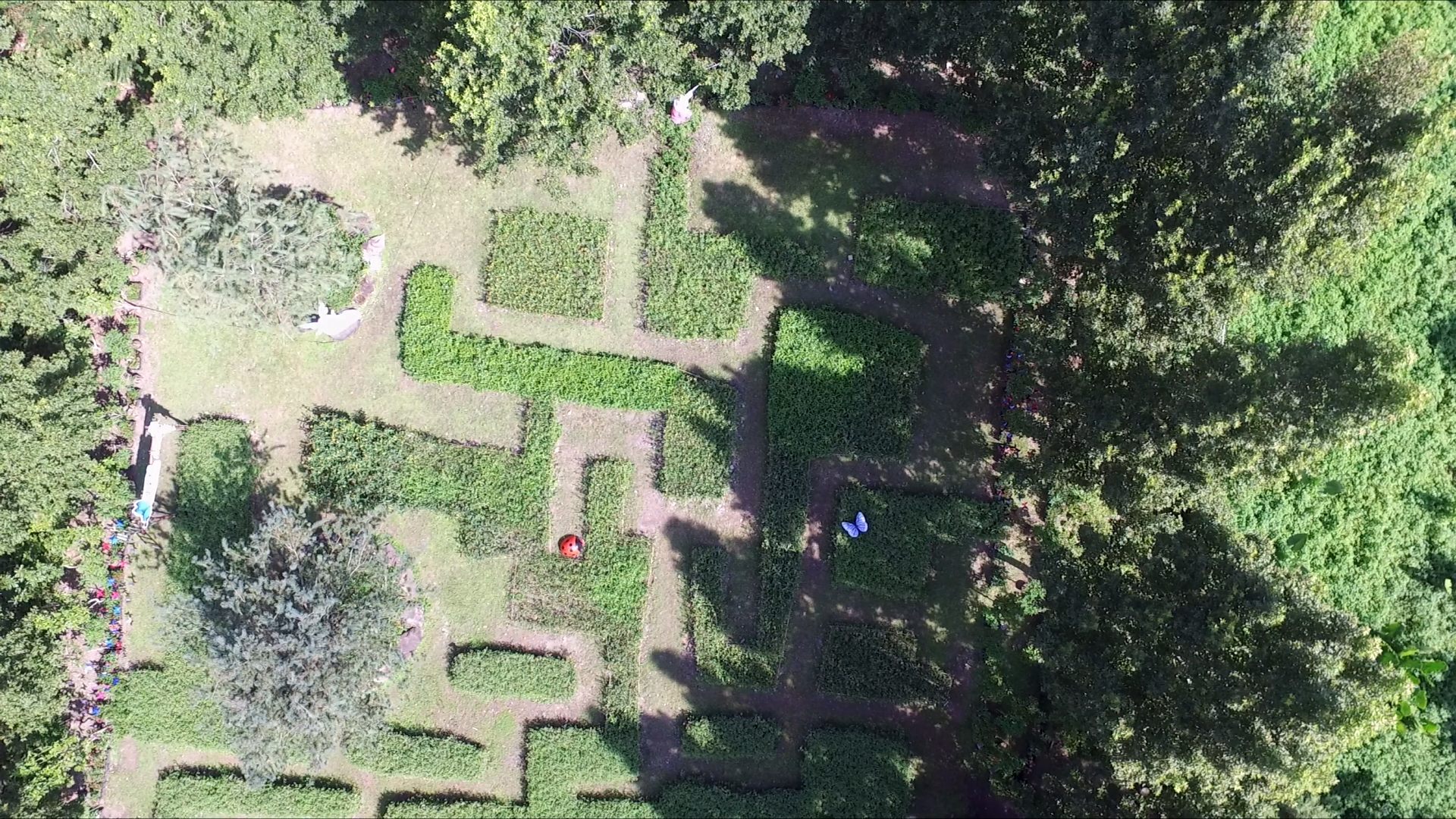 相關圖片3-「台一」蝴蝶迷宮啟用  林縣長：埔里蝴蝶王國再現風華