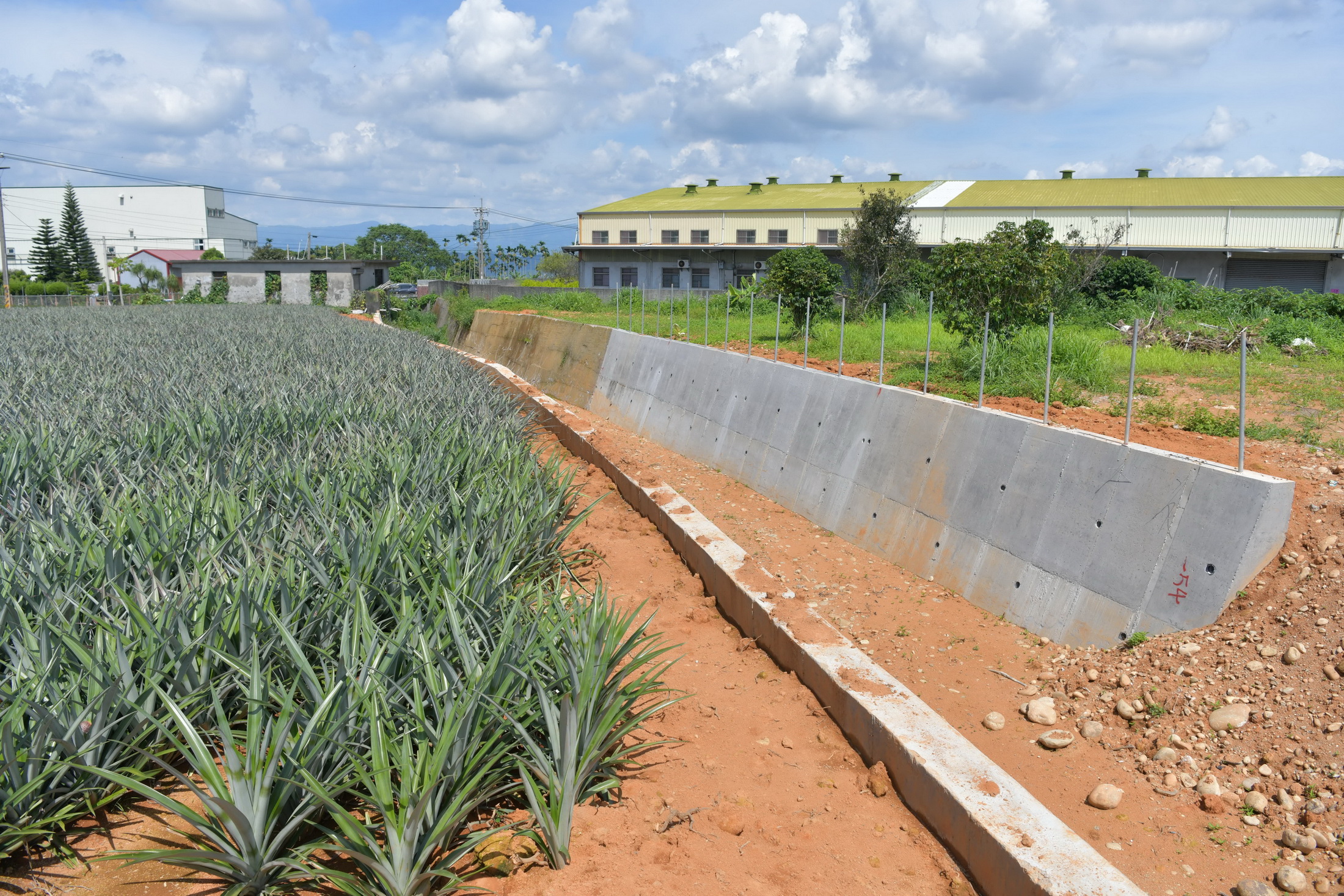 相關圖片2-縣府將投入300萬元　提升名間鄉農道路及野溪護岸品質