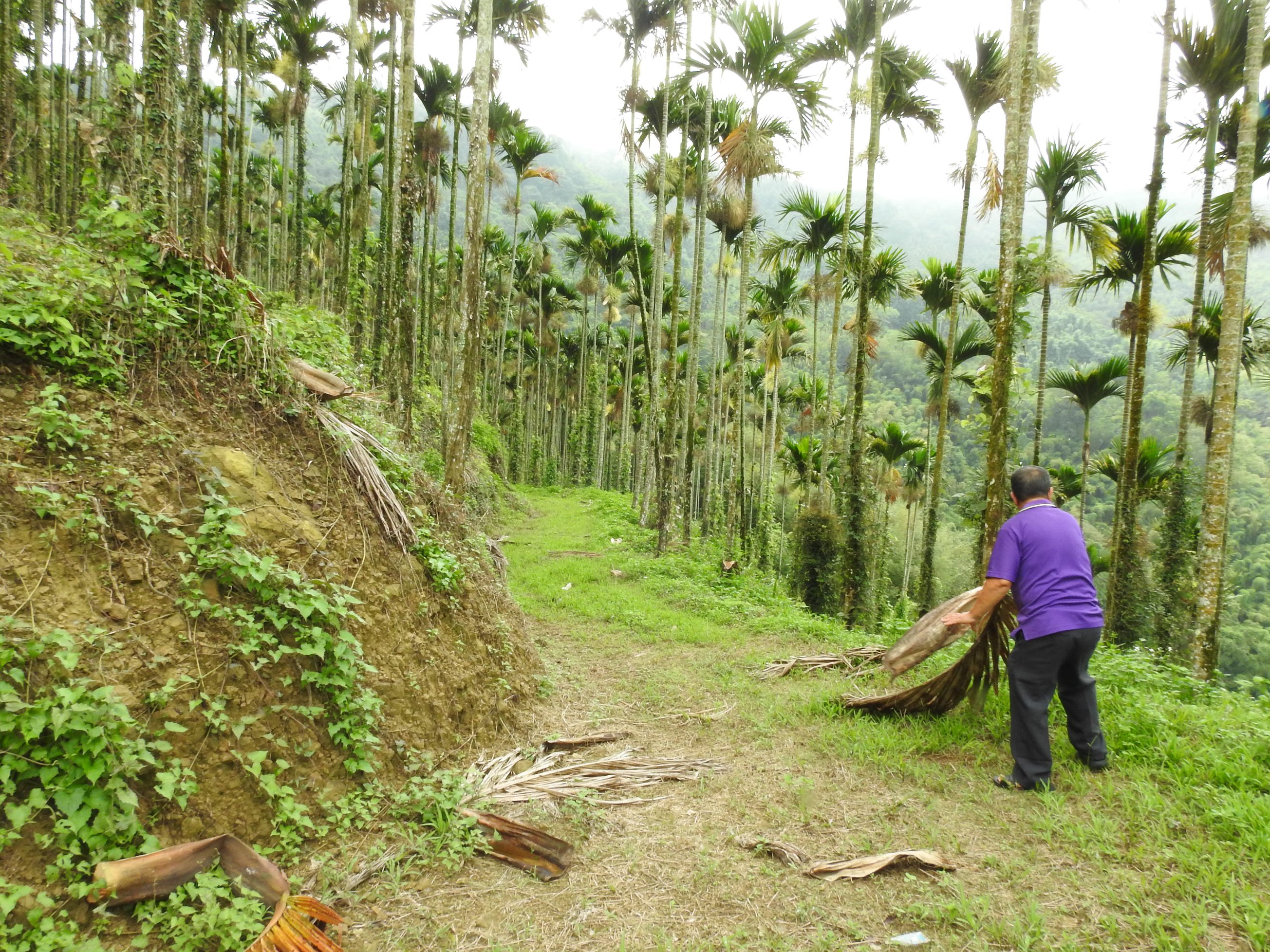 相關圖片2-中寮兩處邊坡排水不良及一段泥土農路難行 林縣長會勘改善