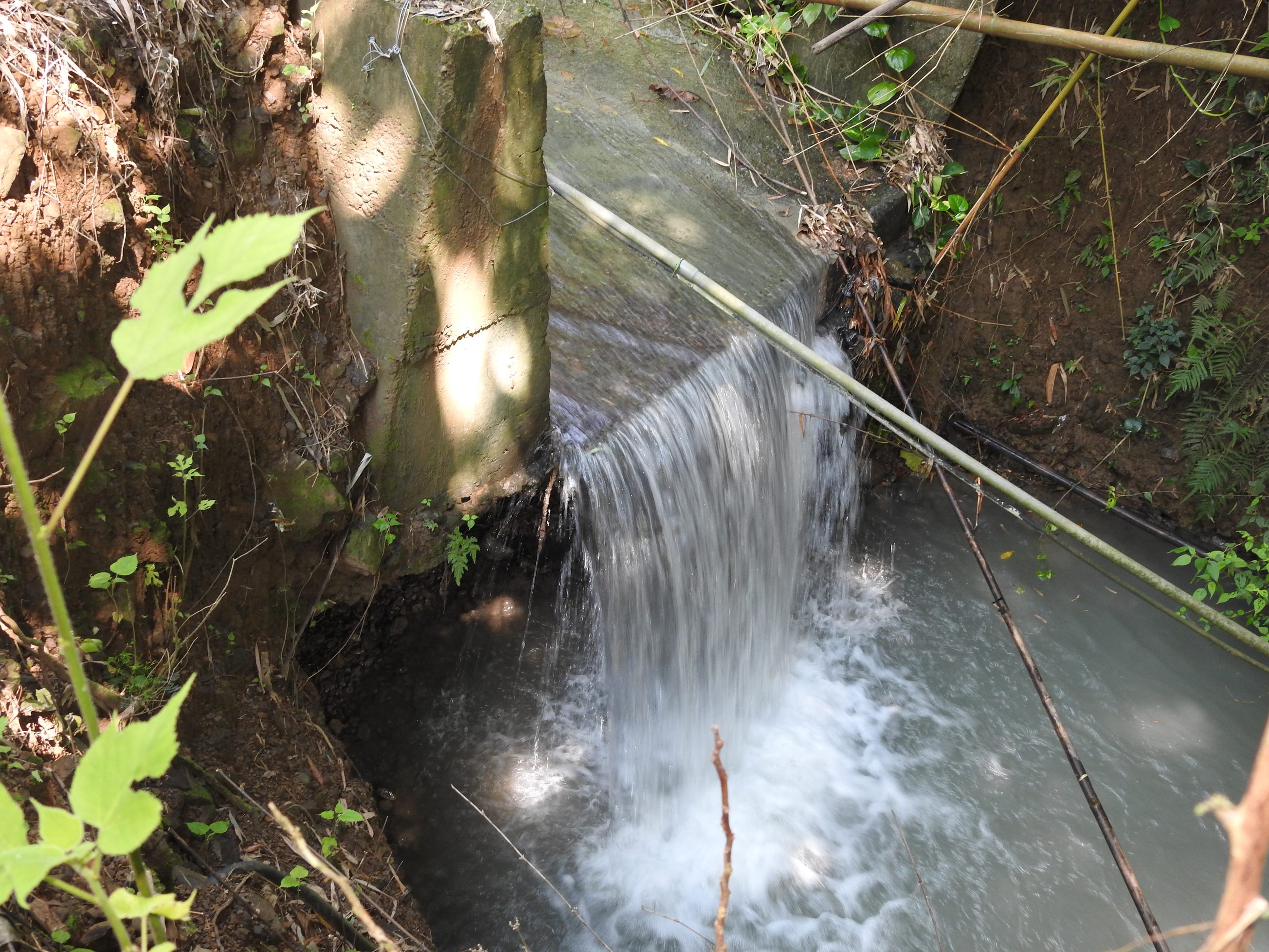 相關圖片4-水里鄉兩村野溪淘刷侵蝕農園威脅民宅 林縣長會勘有解