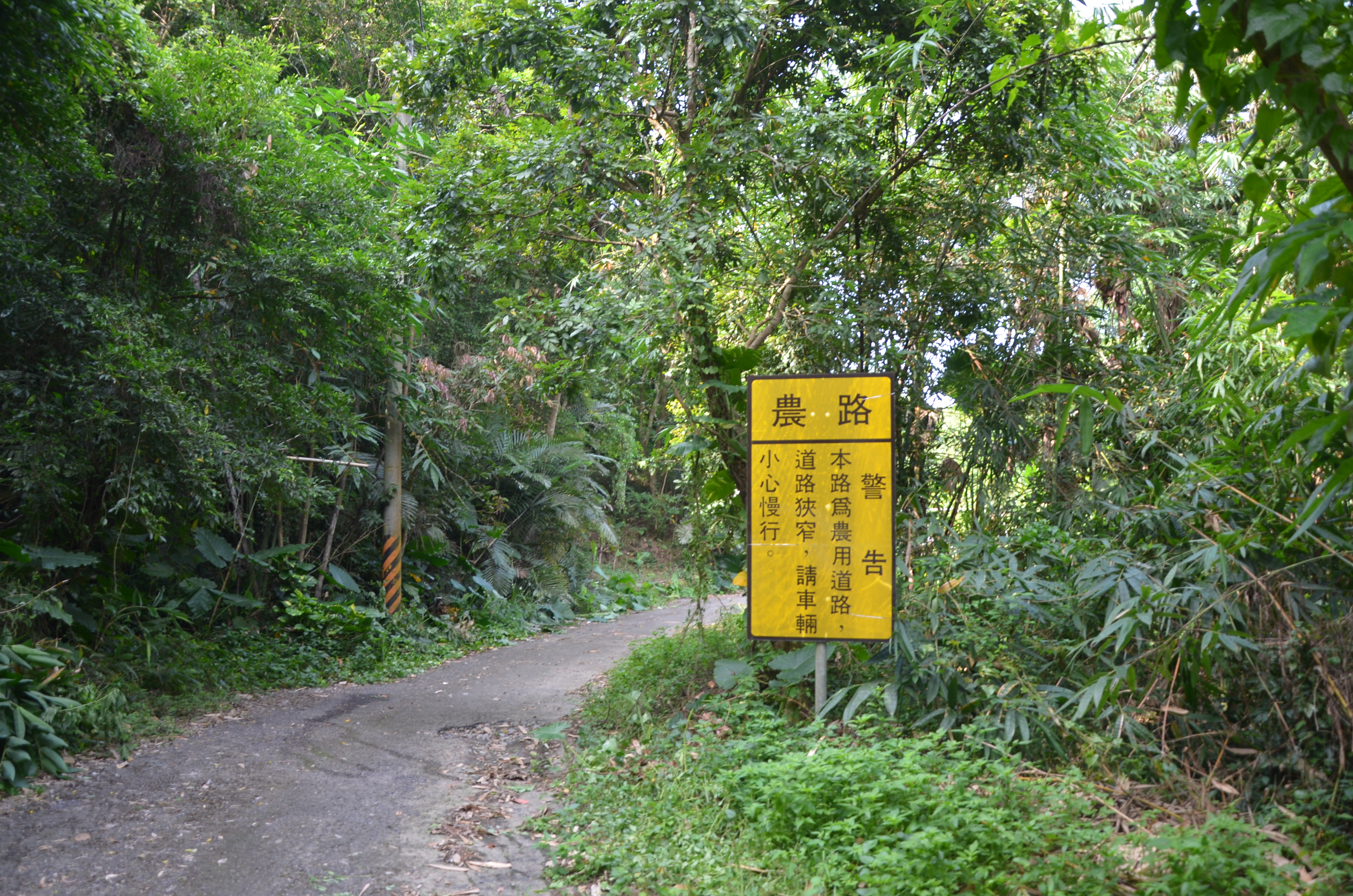 相關圖片3-中興新村光榮里楓仔坑農路年久失修 林縣長會勘改善