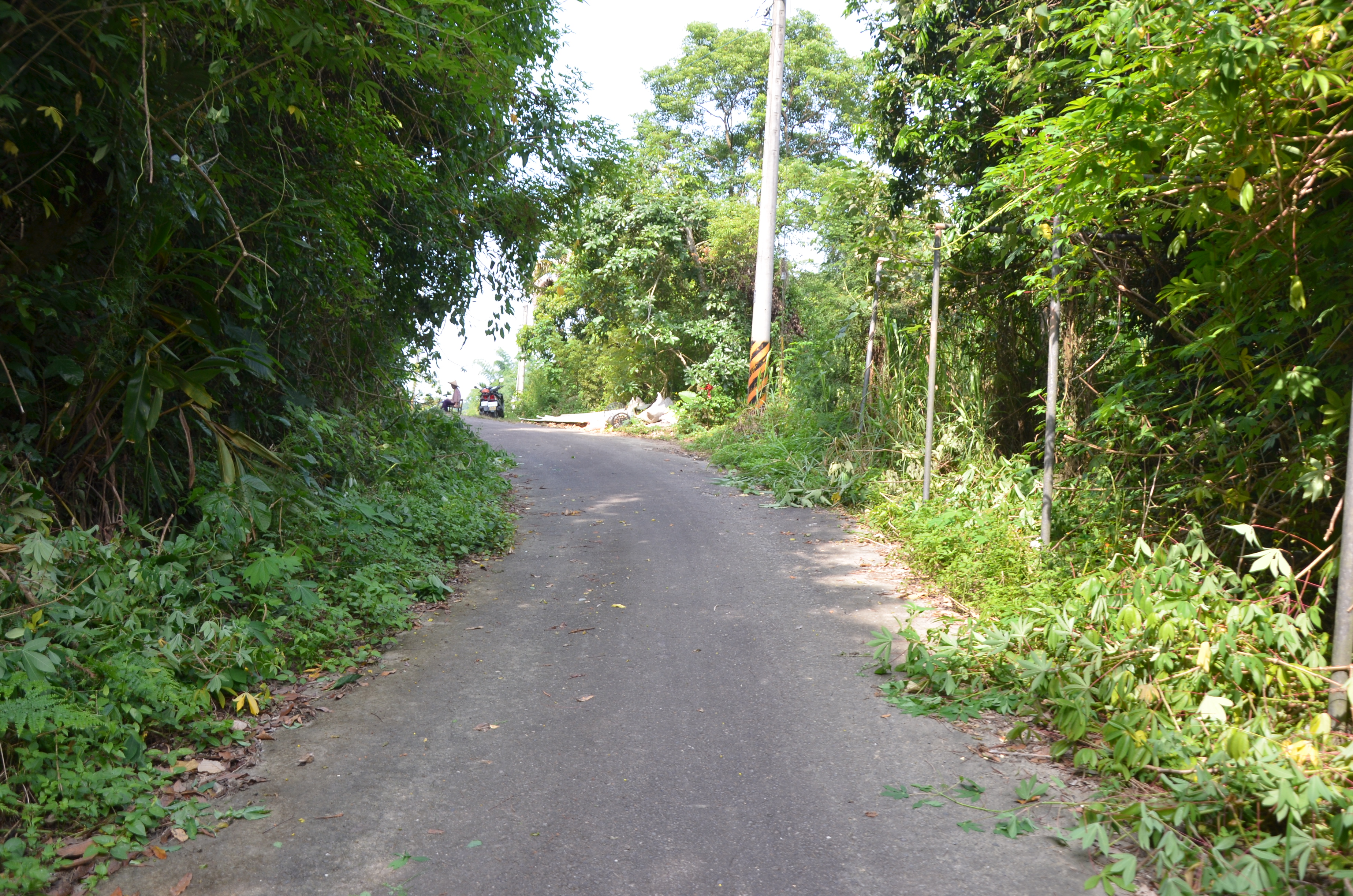 相關圖片4-中興新村光榮里楓仔坑農路年久失修 林縣長會勘改善