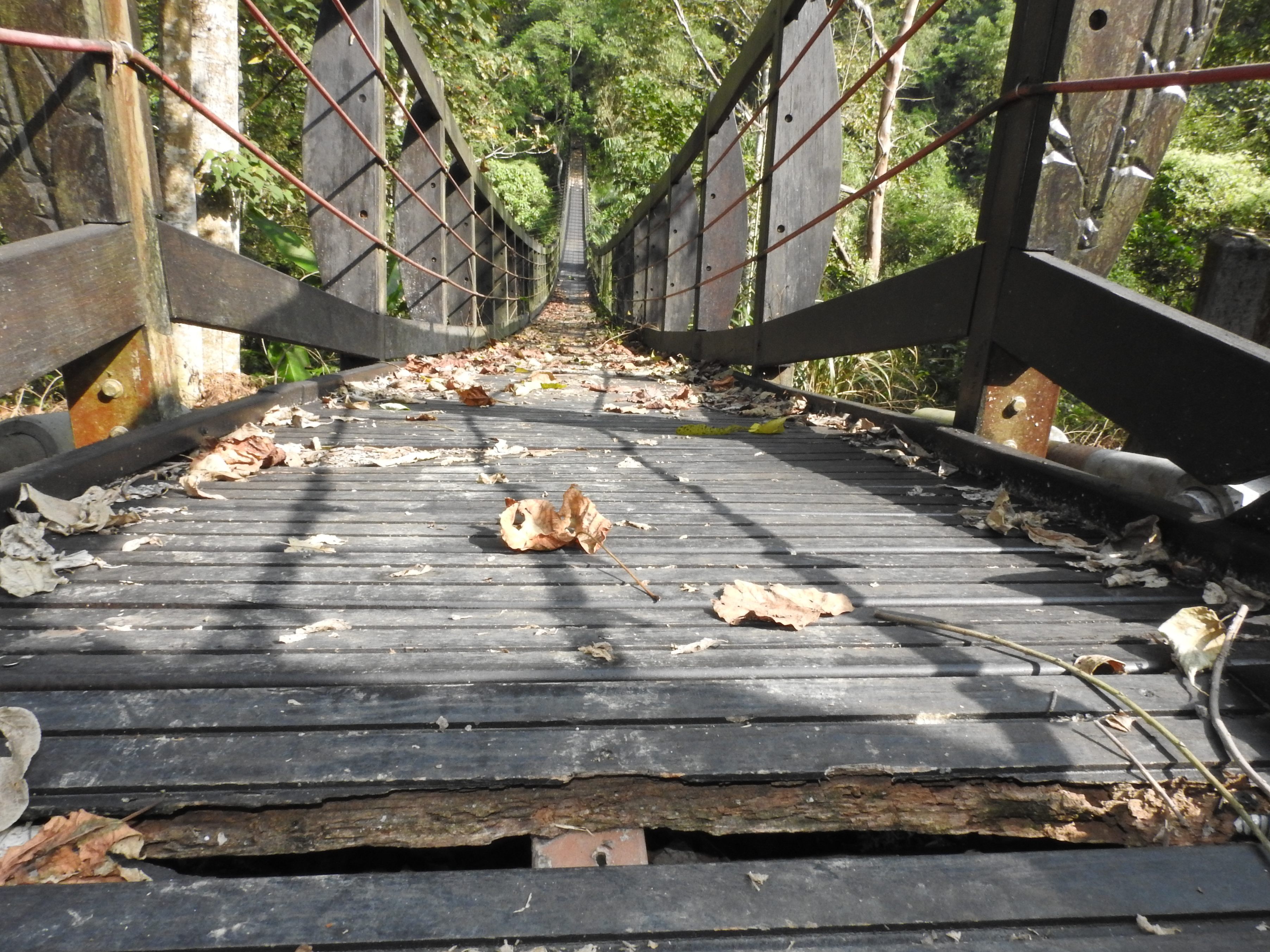 相關圖片2-林縣長會勘改善鹿谷半天吊橋、竹山大湖底野溪治理及鯉南路巷道