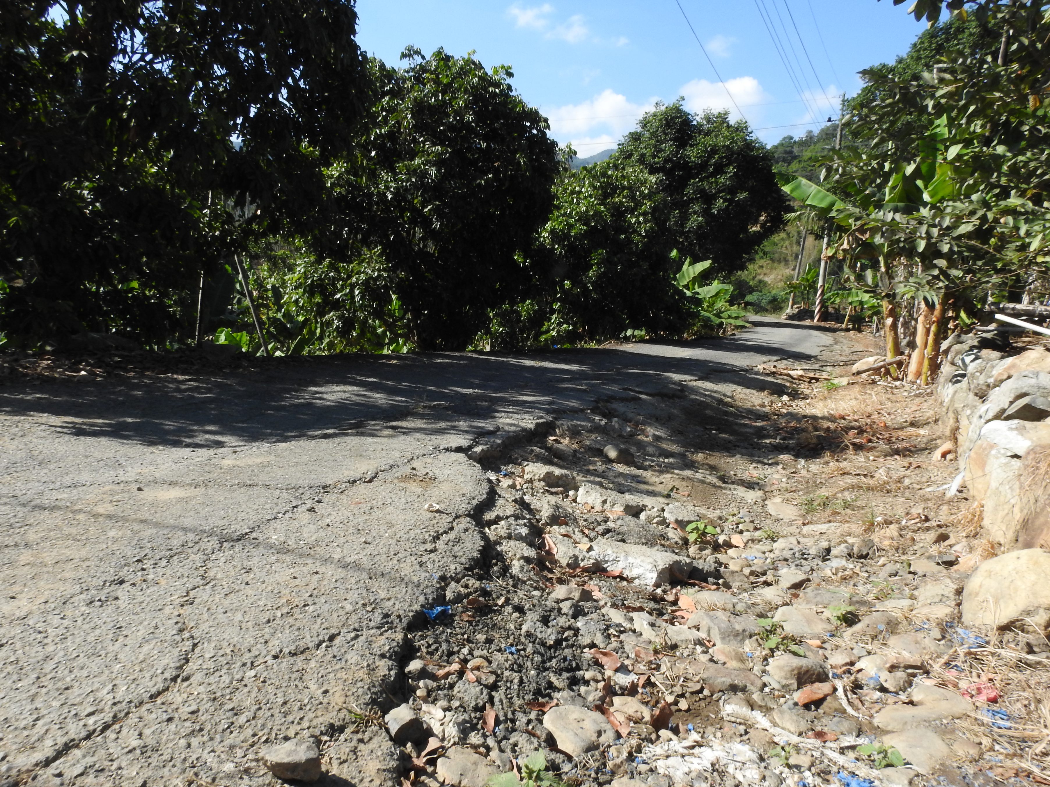 相關圖片2-國姓鄉五村七條道路待改善 林縣長會勘允翻新