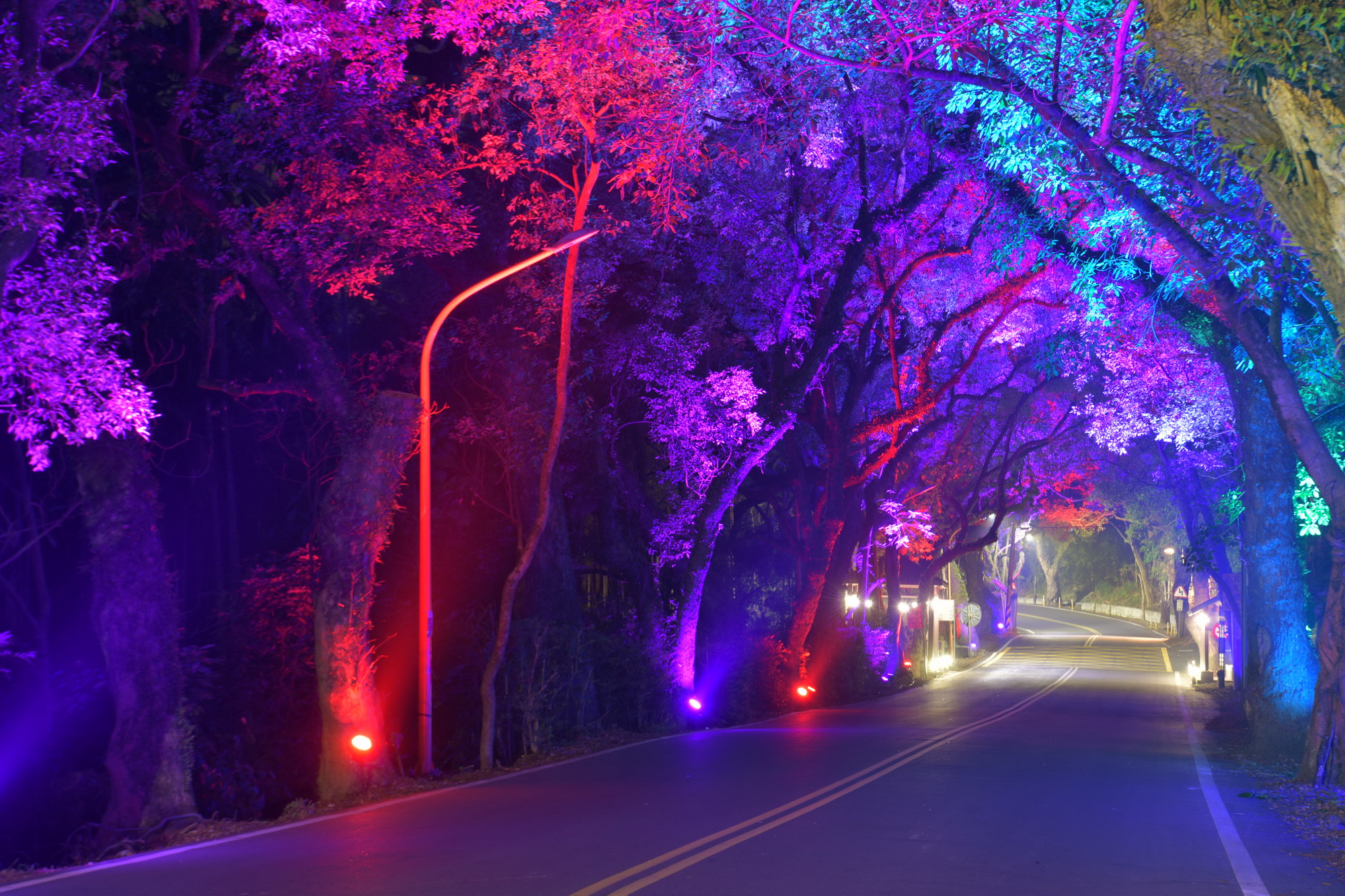 相關圖片3-不用下車就能賞燈　集集燈會光雕黃金隧道璀璨登場