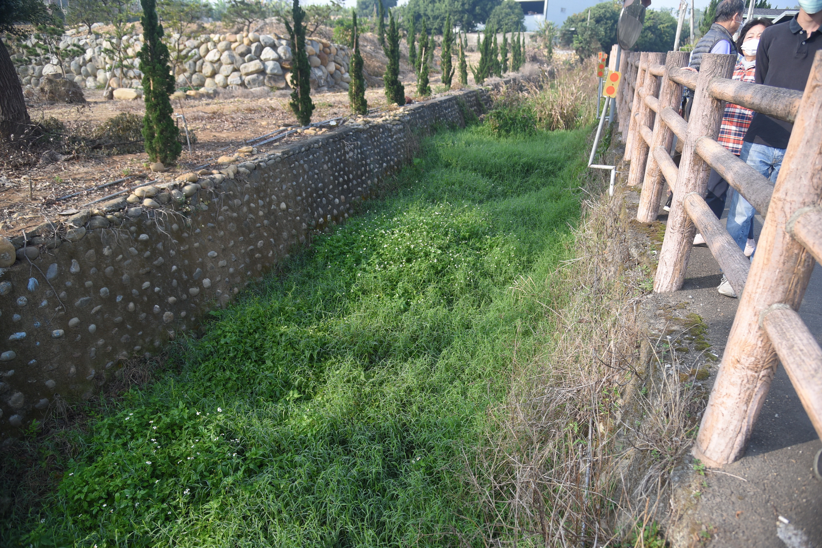 相關圖片4-投市茄苳腳區排護岸老舊破損 林縣長會勘改善