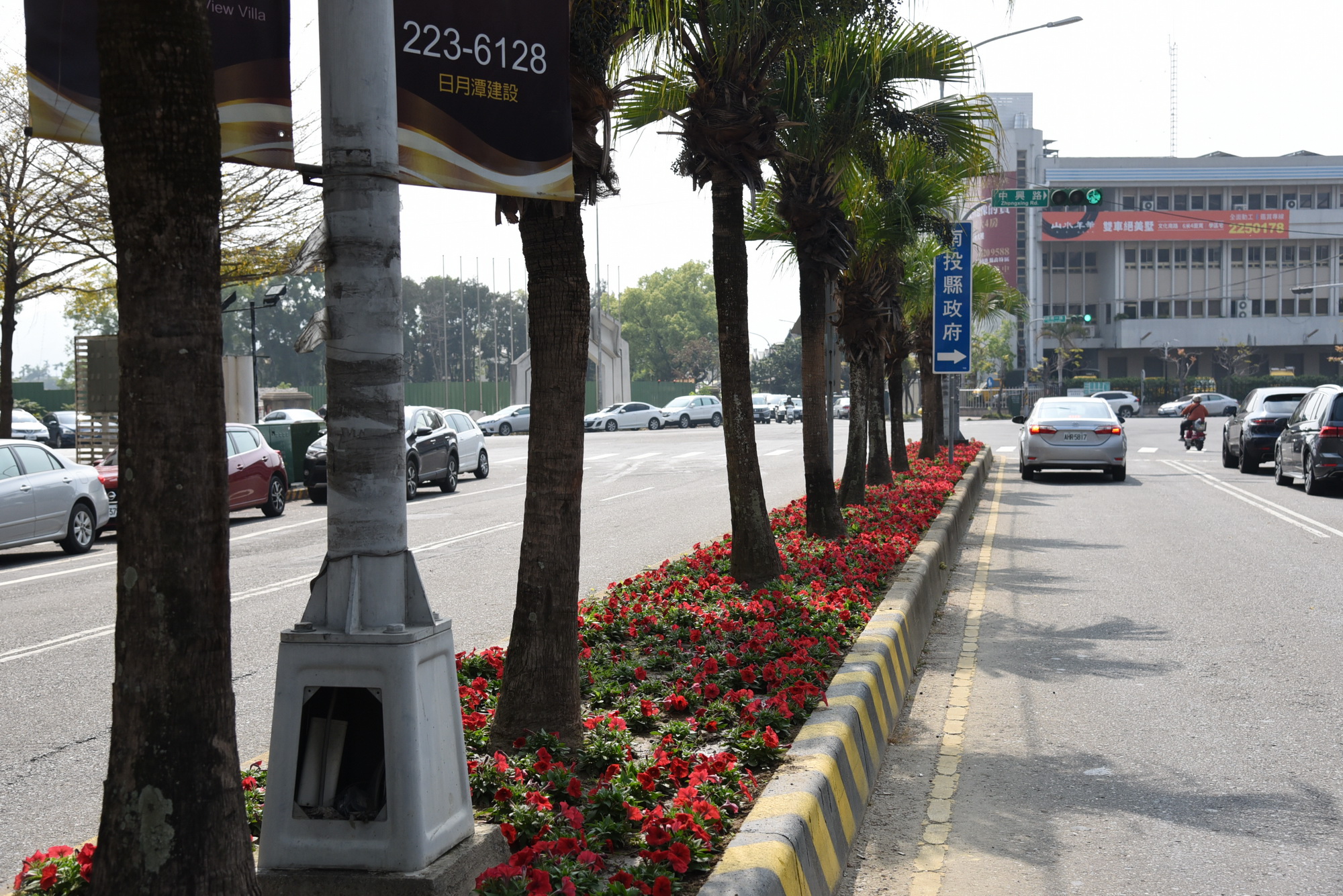 相關圖片2-市區道路繁花添喜氣 林縣長視察肯定綠美化成果