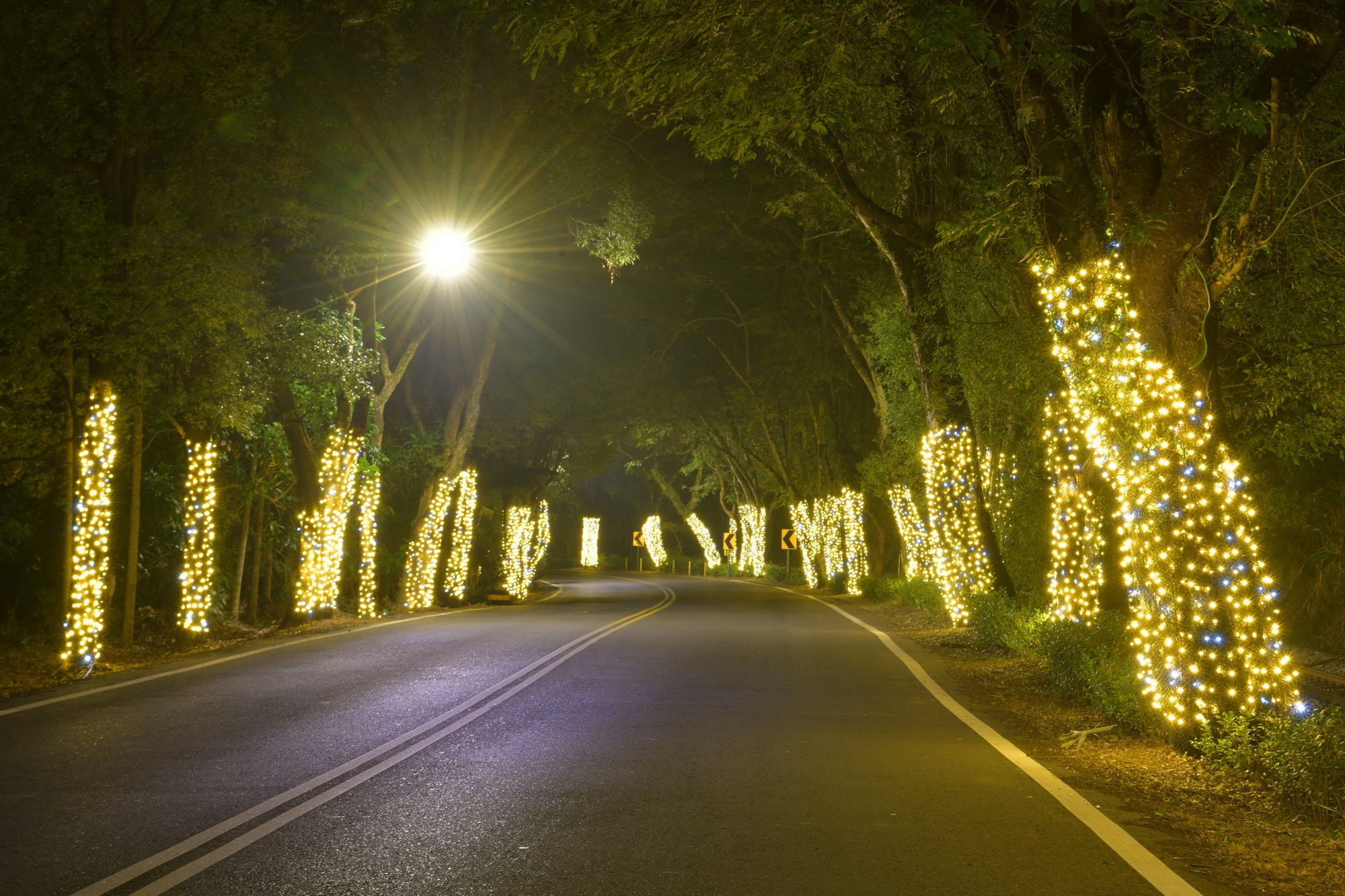 other image4-Enjoying the lights without getting out the car, the Lantern Festival Golden Tunnel Brightly presented, January 16