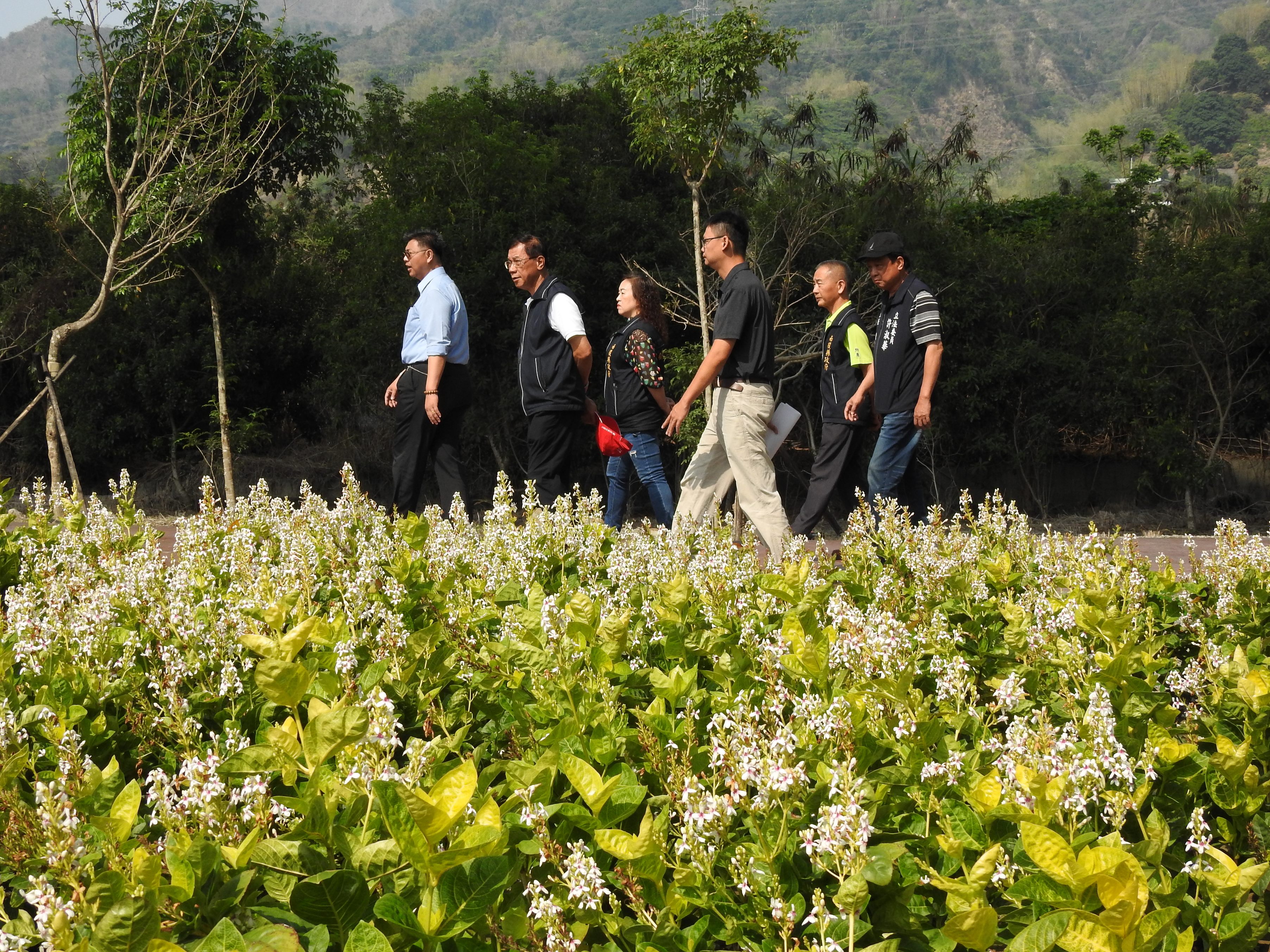相關圖片3-橋聳雲天綠雕公園新貌初現 林縣長會勘展現帶動國姓觀光決心