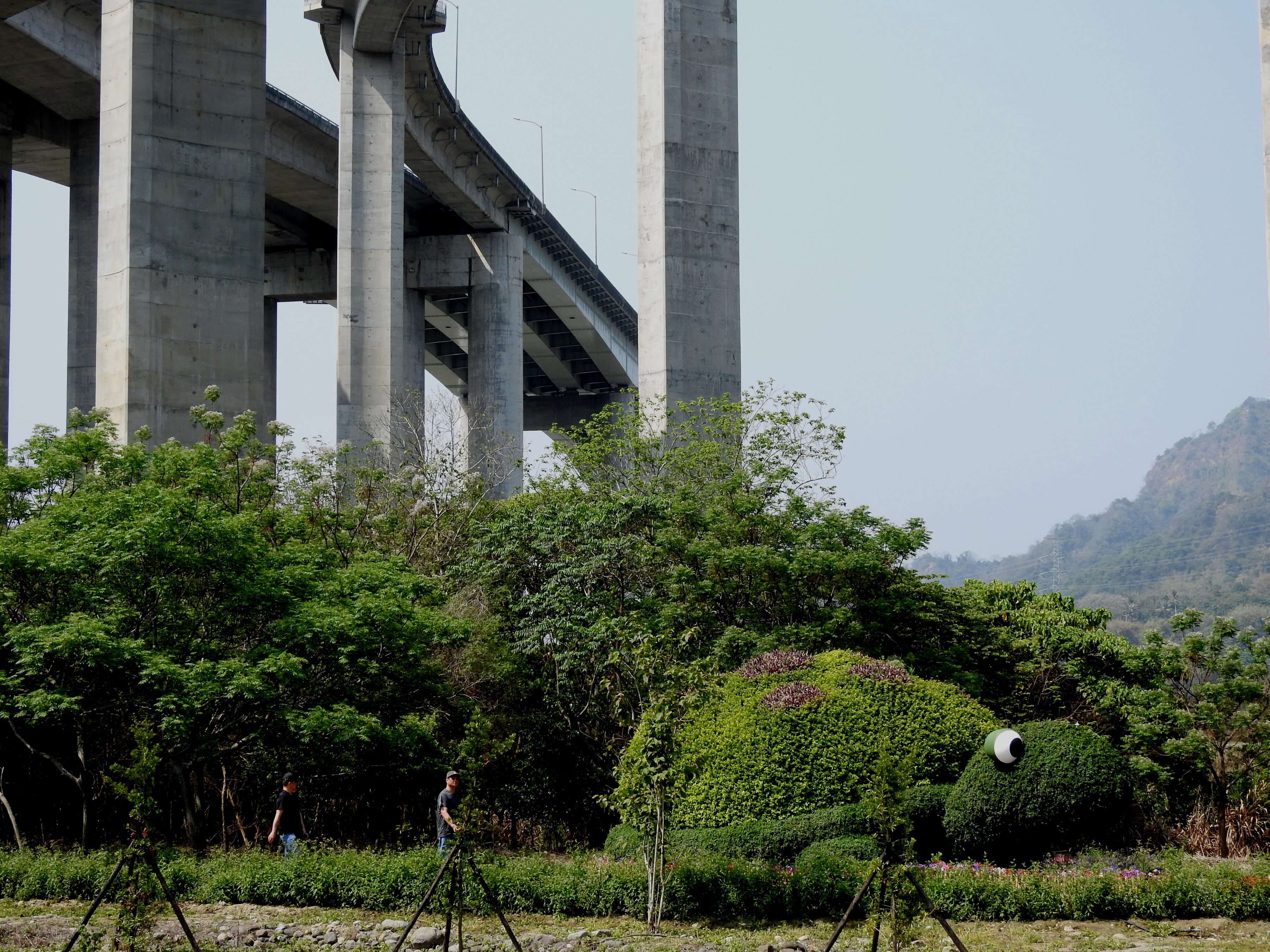 相關圖片4-橋聳雲天綠雕公園新貌初現 林縣長會勘展現帶動國姓觀光決心
