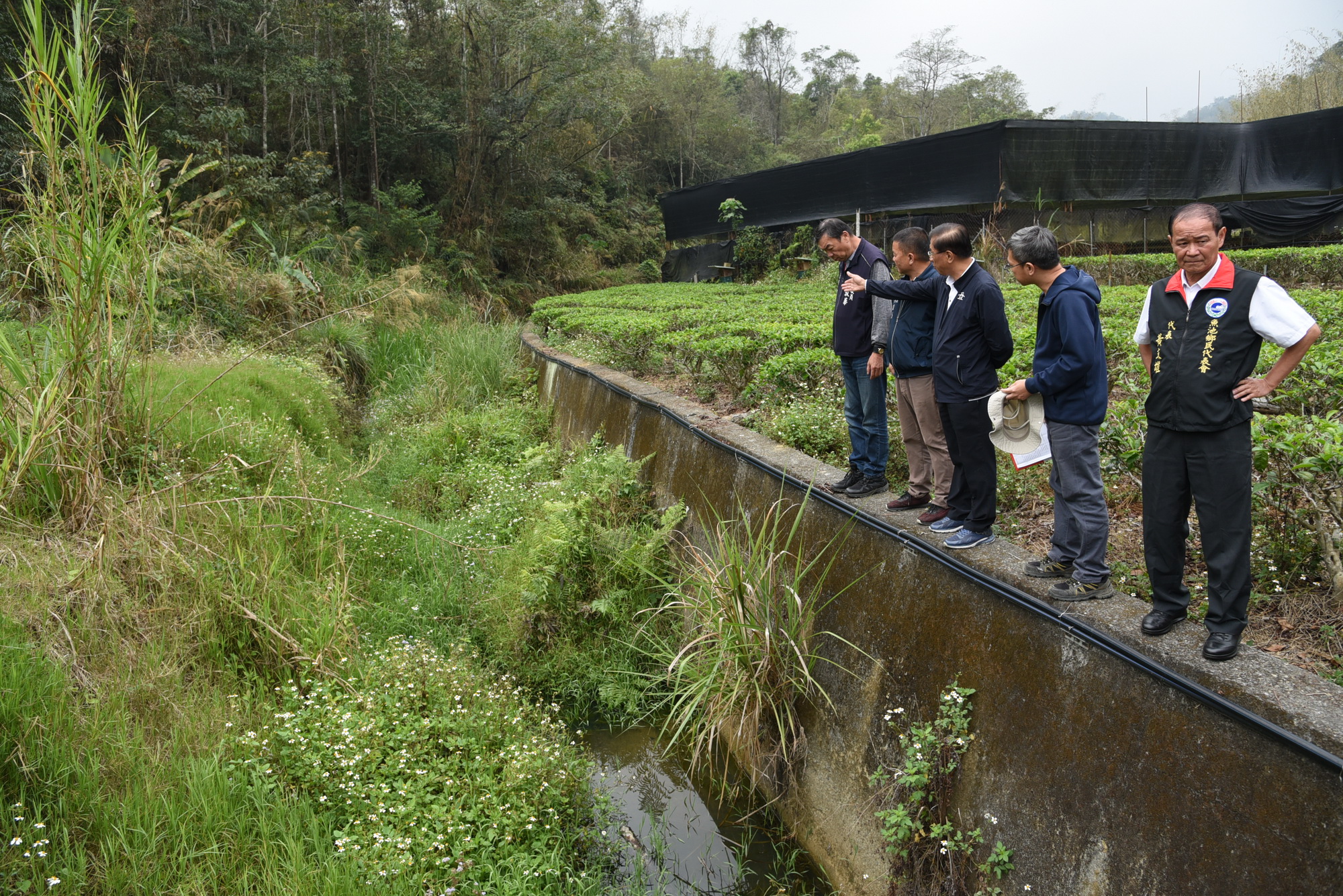 相關圖片4-林縣長深入水里魚池鄉間 會勘多條農路改善工程