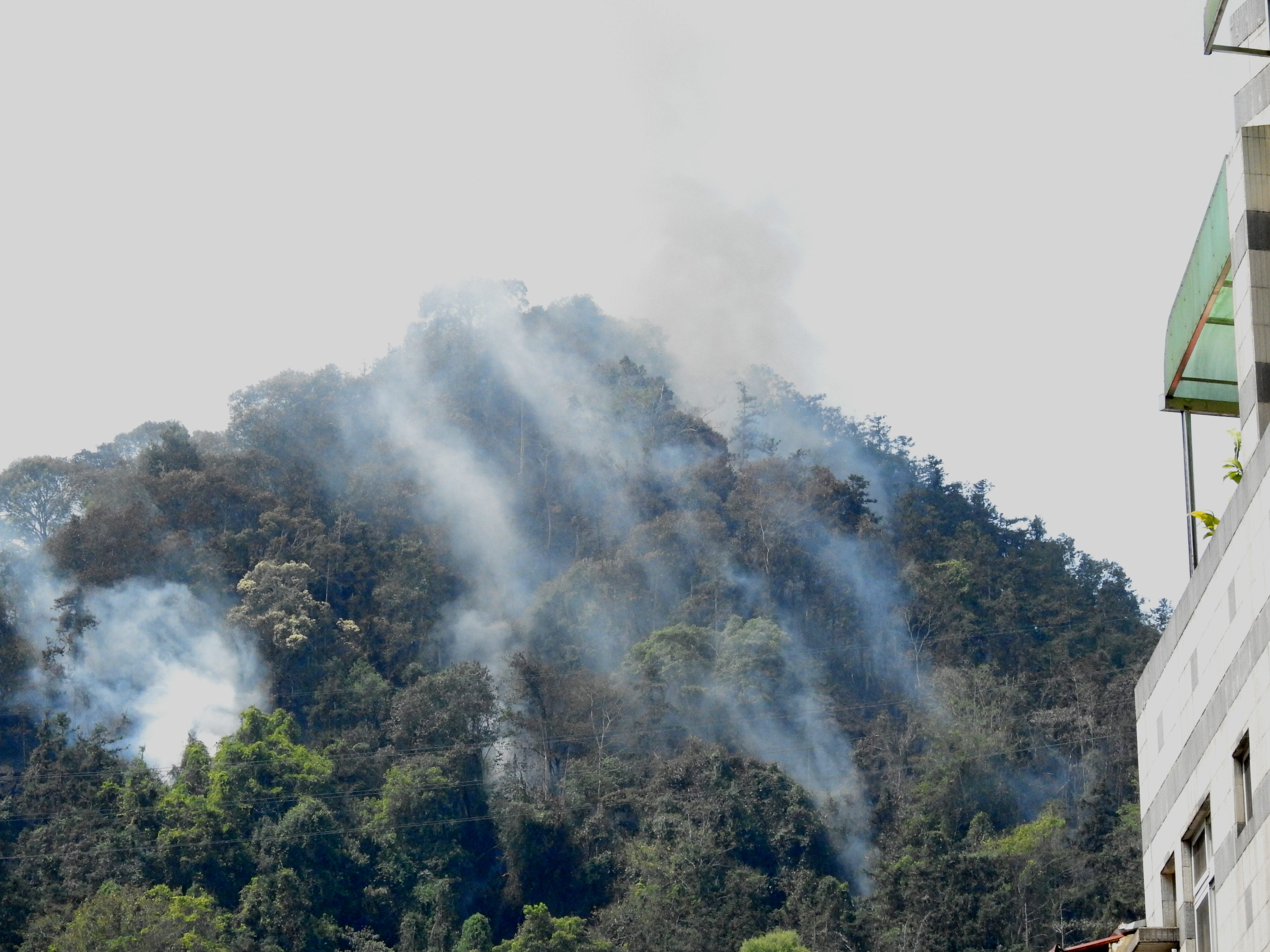 相關圖片4-日月潭畔火燒山獲控制 林縣長慰問警義消 籲久旱之際勿輕忽星火
