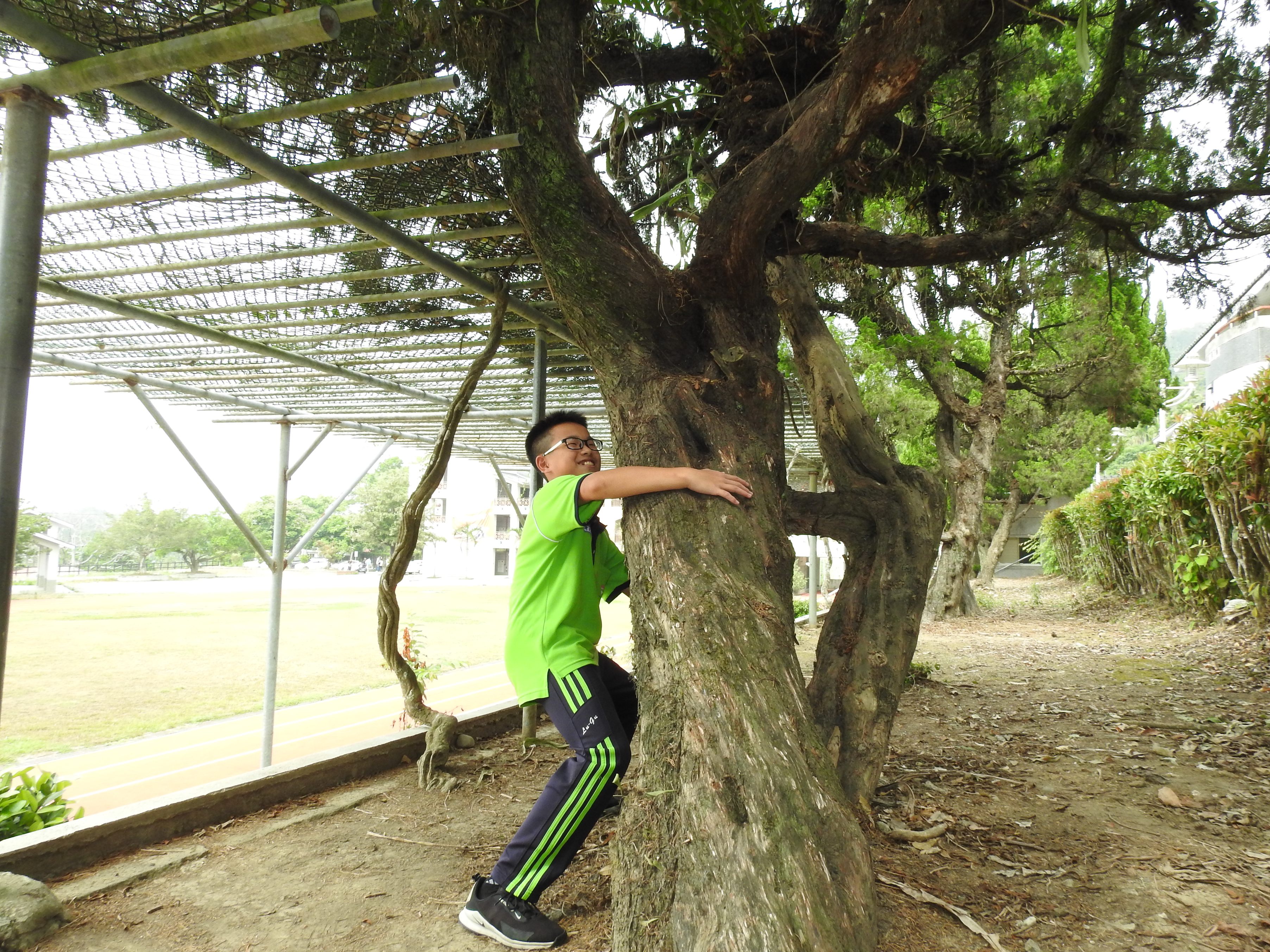 相關圖片4-林縣長「緊腳緊手」力爭新闢水中足球場、搶救鹿中龍柏老樹群