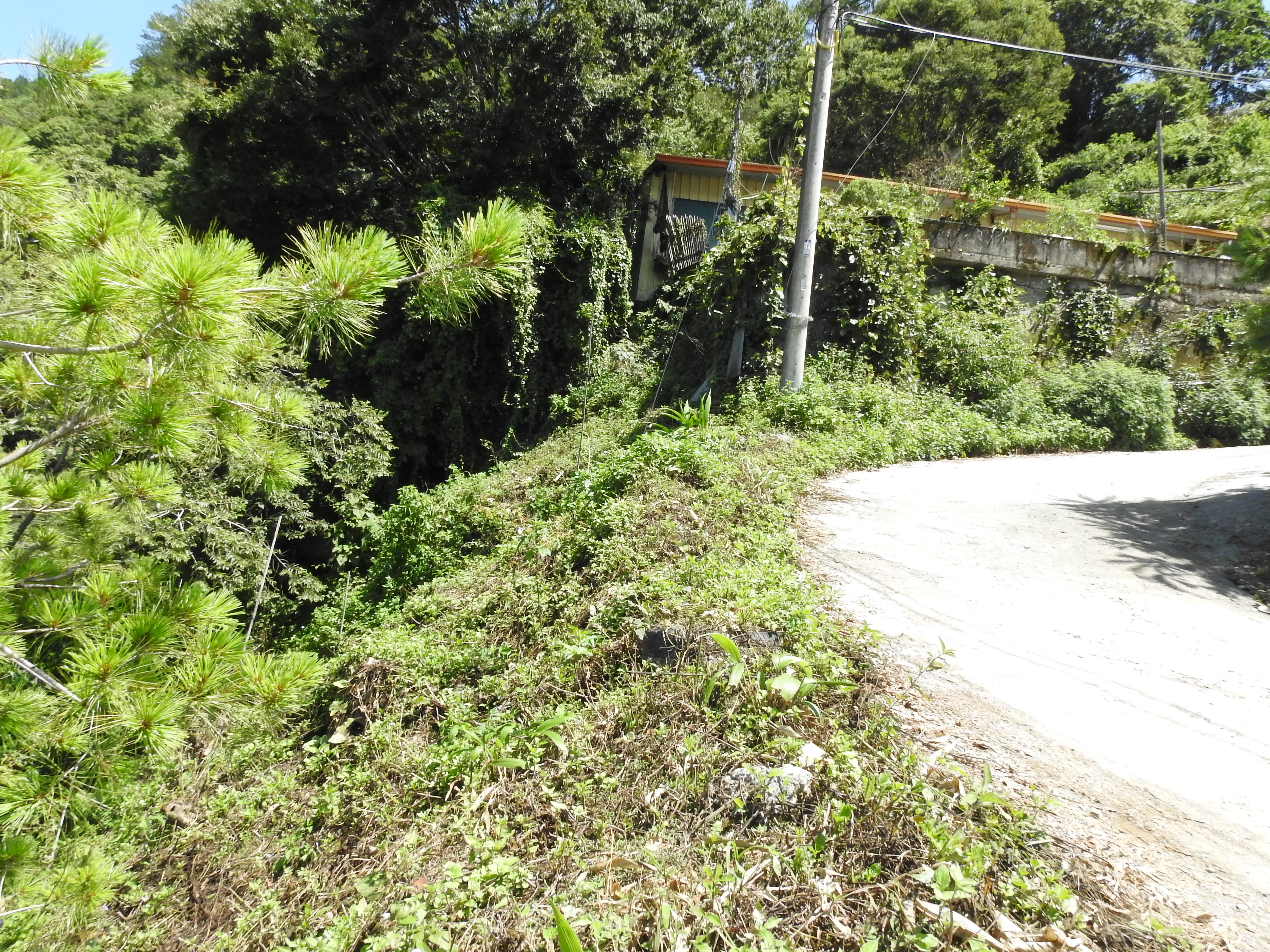 相關圖片4-合作村復名「德鹿谷」有大禮 縣府全線整修投85線