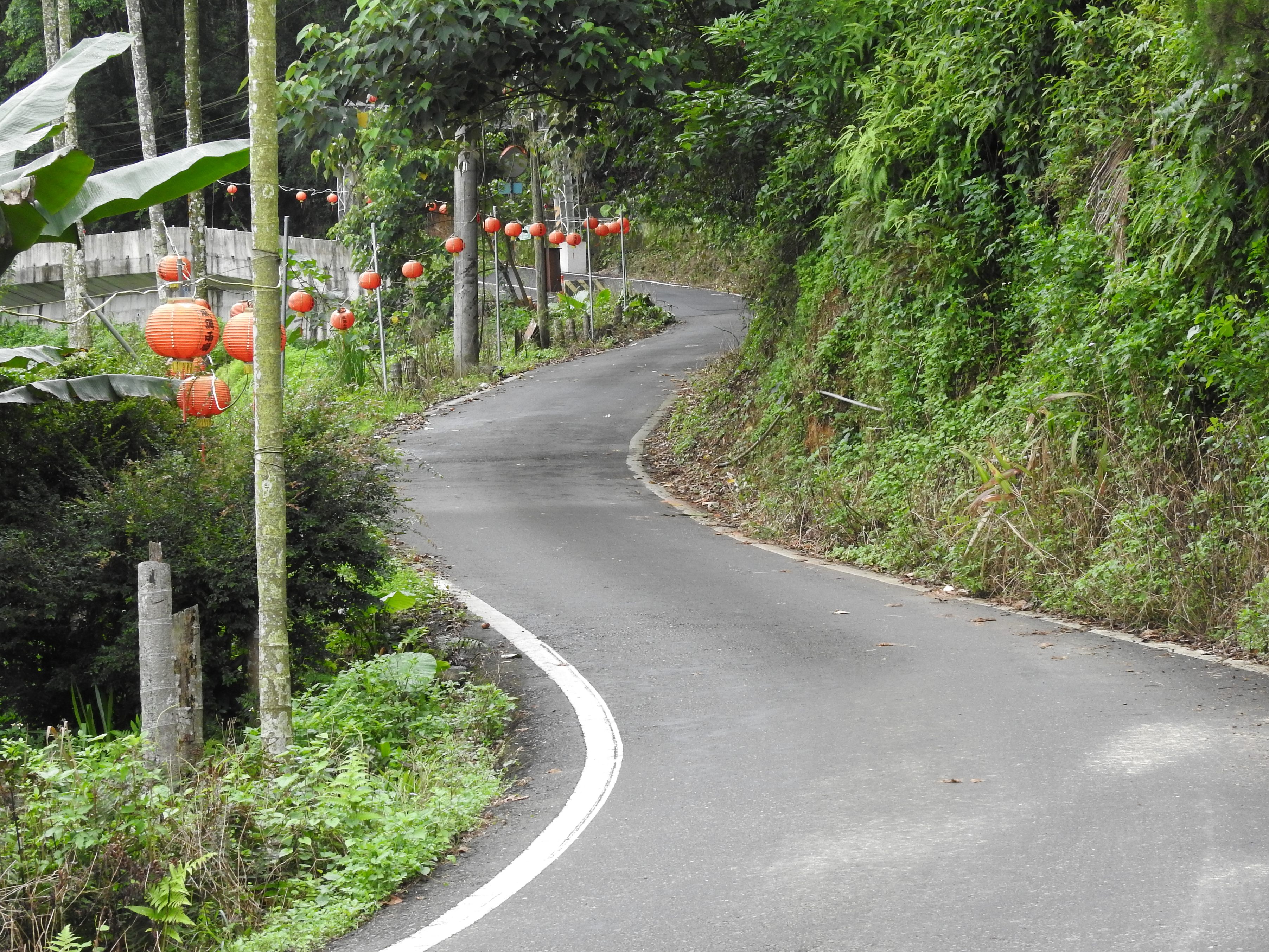 相關圖片2-林縣長會勘埔里道路排水 趕颱風來襲前砸近700萬元改善