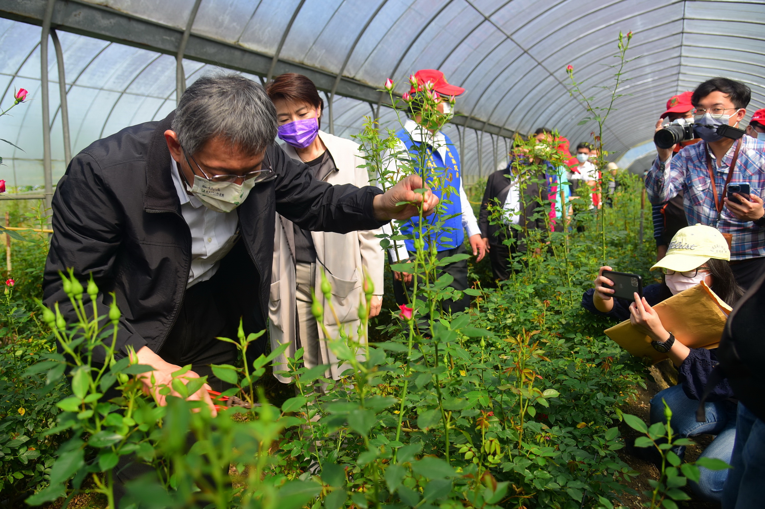 other image3-Taipei City Government visits the Puli floral industry, Nantou Deputy County Magistrate Chen hopes to improve the cold chain supply system together, March 6