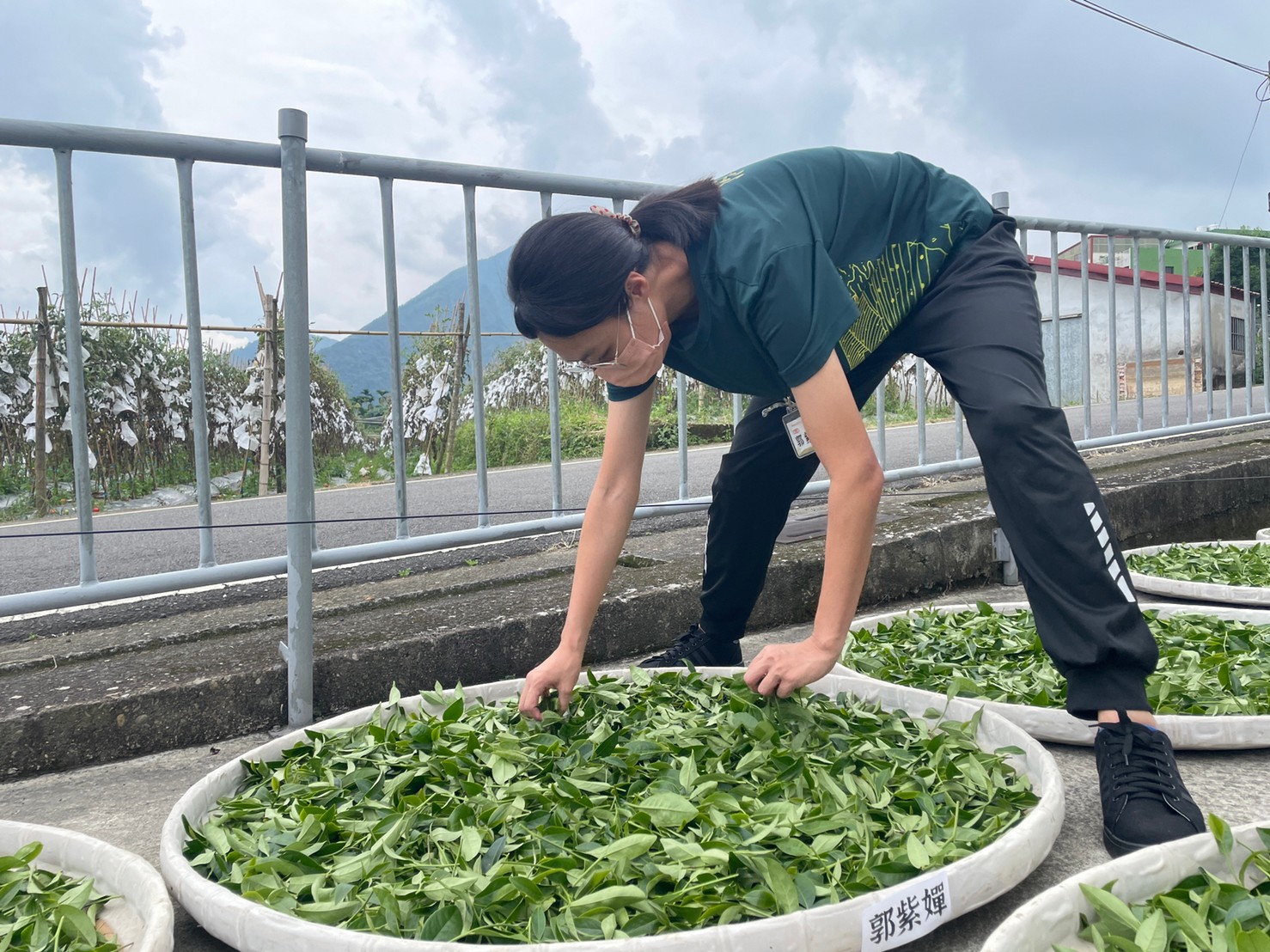 (開新視窗)連至 從頭開始做中學 完整照片