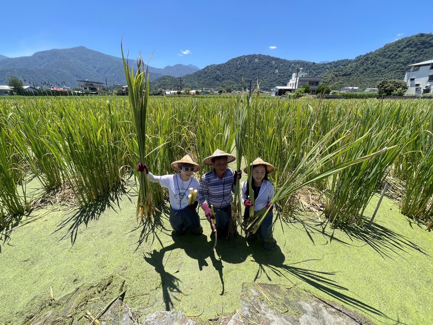(開新視窗)連至 縣府與可樂旅遊合作  邀請媒體組團辦理埔里採訪 完整照片