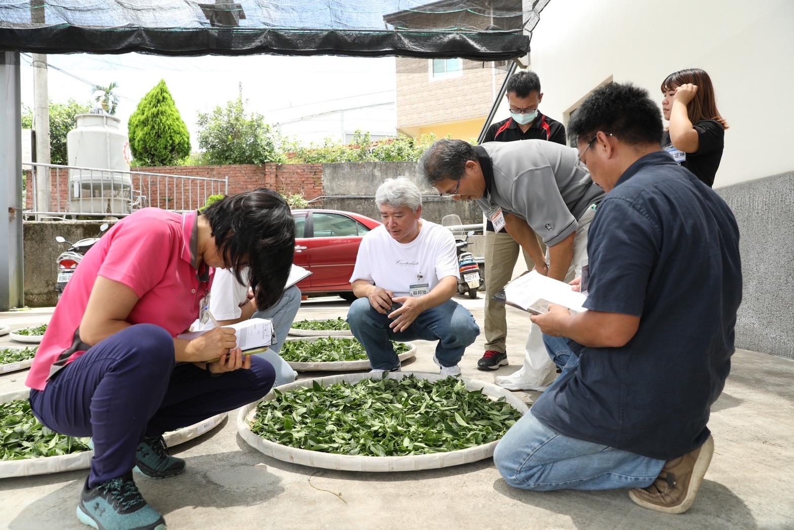 文章圖片-「112年南投縣傳統手工製茶傳習-進階班」8月1日至8月5日於竹山「遊山茶訪」辦理