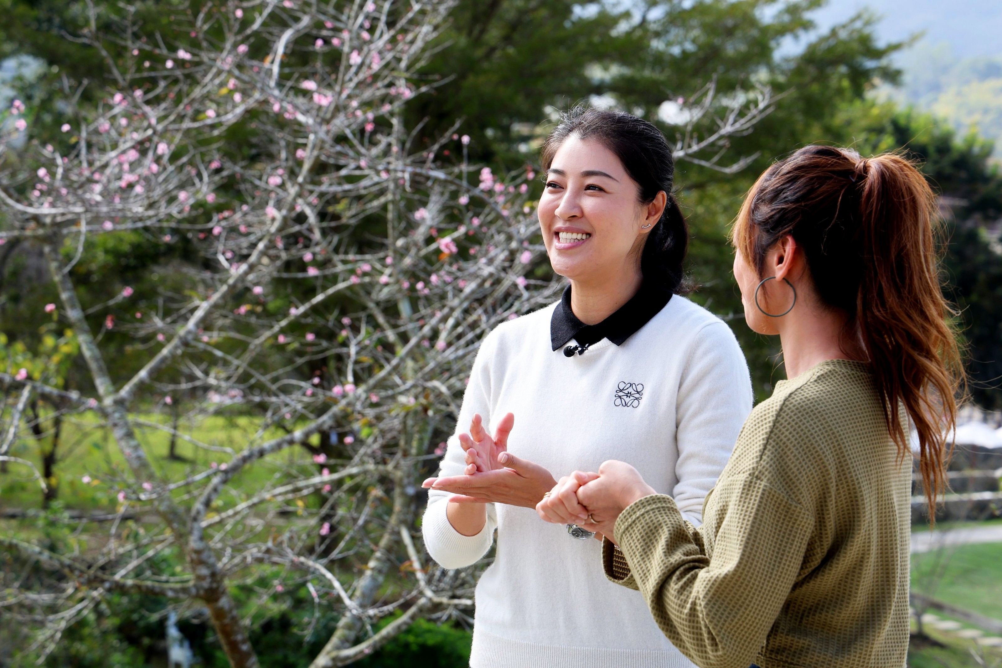 相關圖片3-南投小半天石馬公園新建工程竣工添休憩勝景 許縣長喜迎粉紅河津櫻 宣示重啟鹿谷鄉賞櫻旅程
