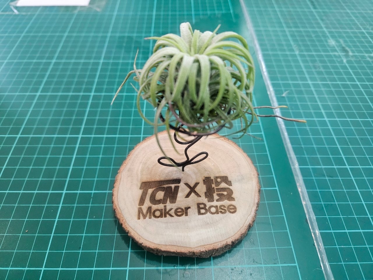 相關圖片4-南投縣政府創新暑期工讀計畫 提供大專青年工讀多元體驗