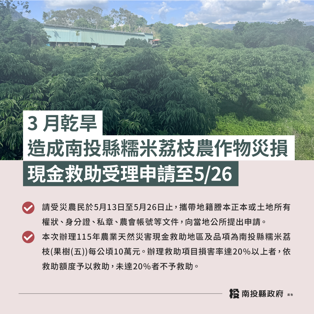 圖片-3月乾旱造成本縣糯米荔枝農作物災損農業部同意辦理現金救助