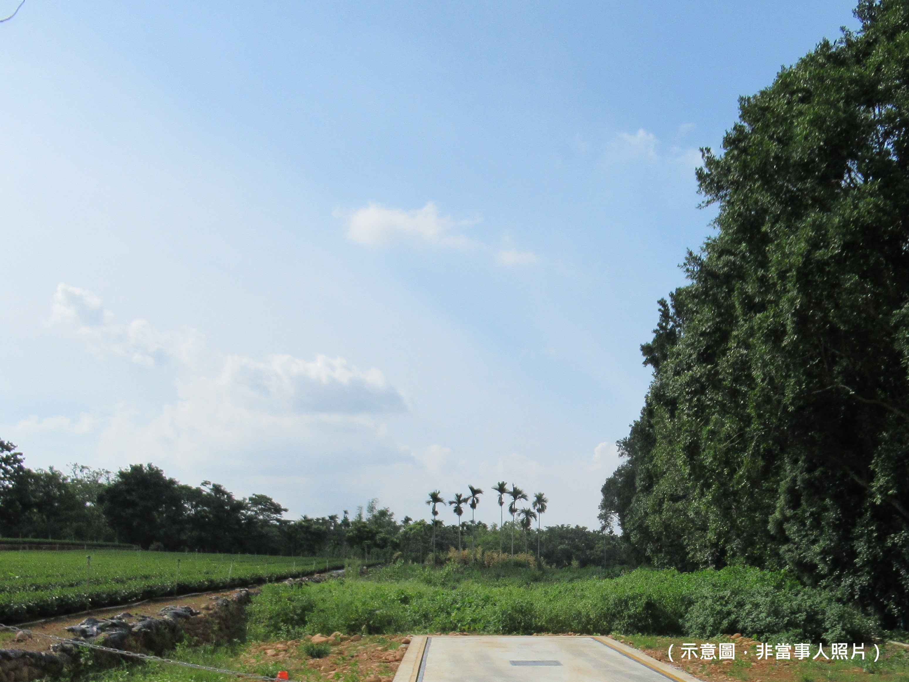 圖片-取得不課徵土地增值稅之農地若違規使用，須依限恢復並持續作農業使用，再次移轉時才可適用不課徵土地增值稅