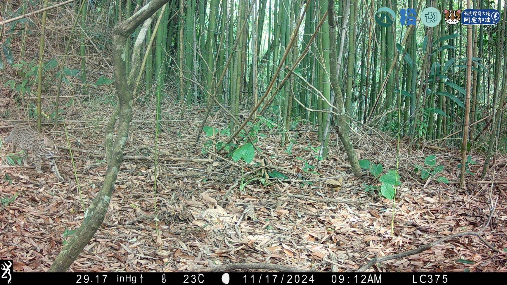 相關圖片2-南投縣生態服務給付 3月10日起受理申請