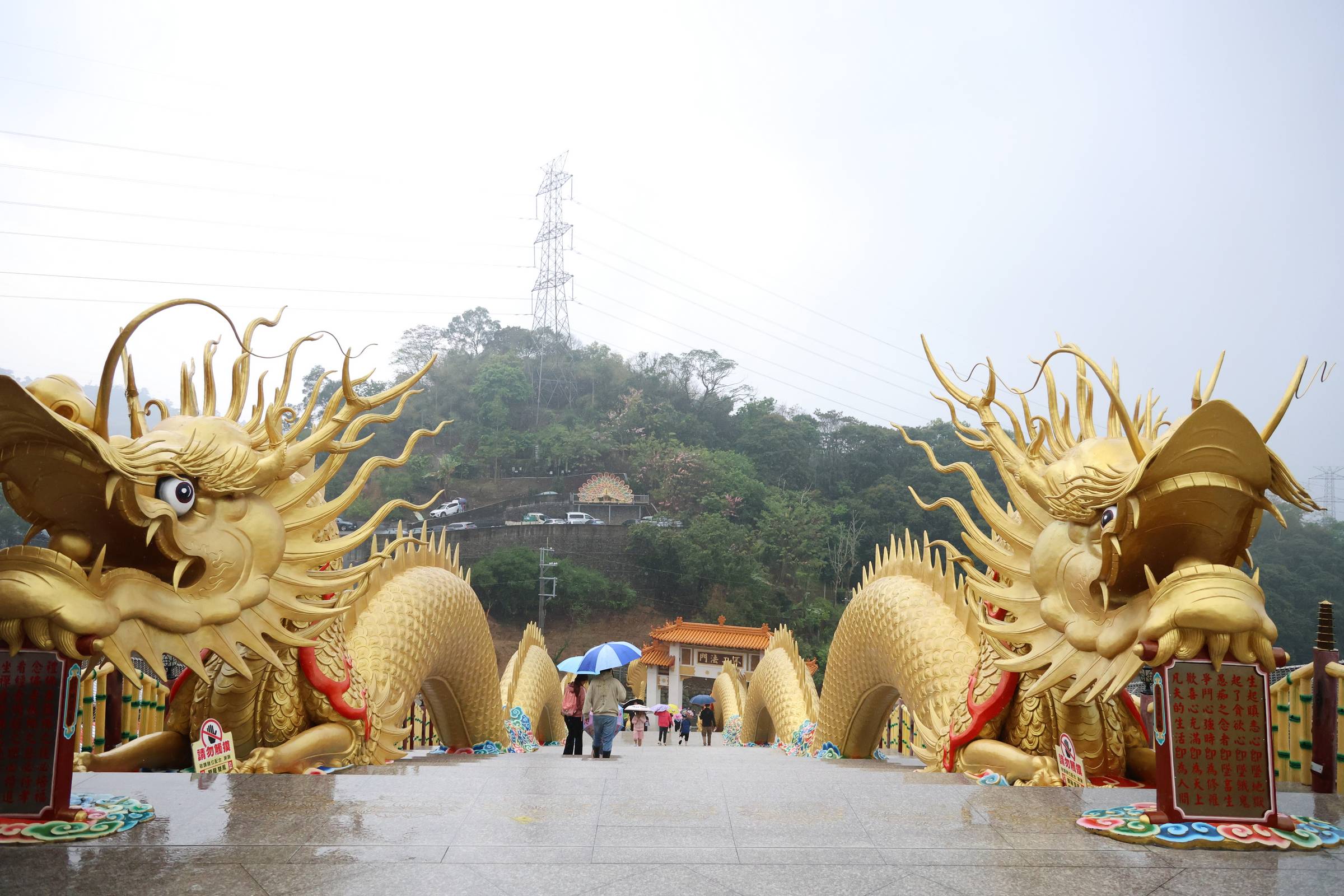 相關圖片1-「金龍賜福藝術文化節」迎春雨引人潮 同享信仰藝文公益之樂