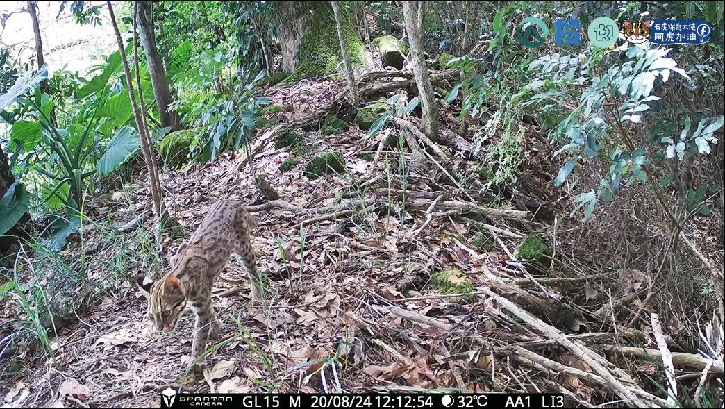 相關圖片1-南投縣生態服務給付 3月10日起受理申請