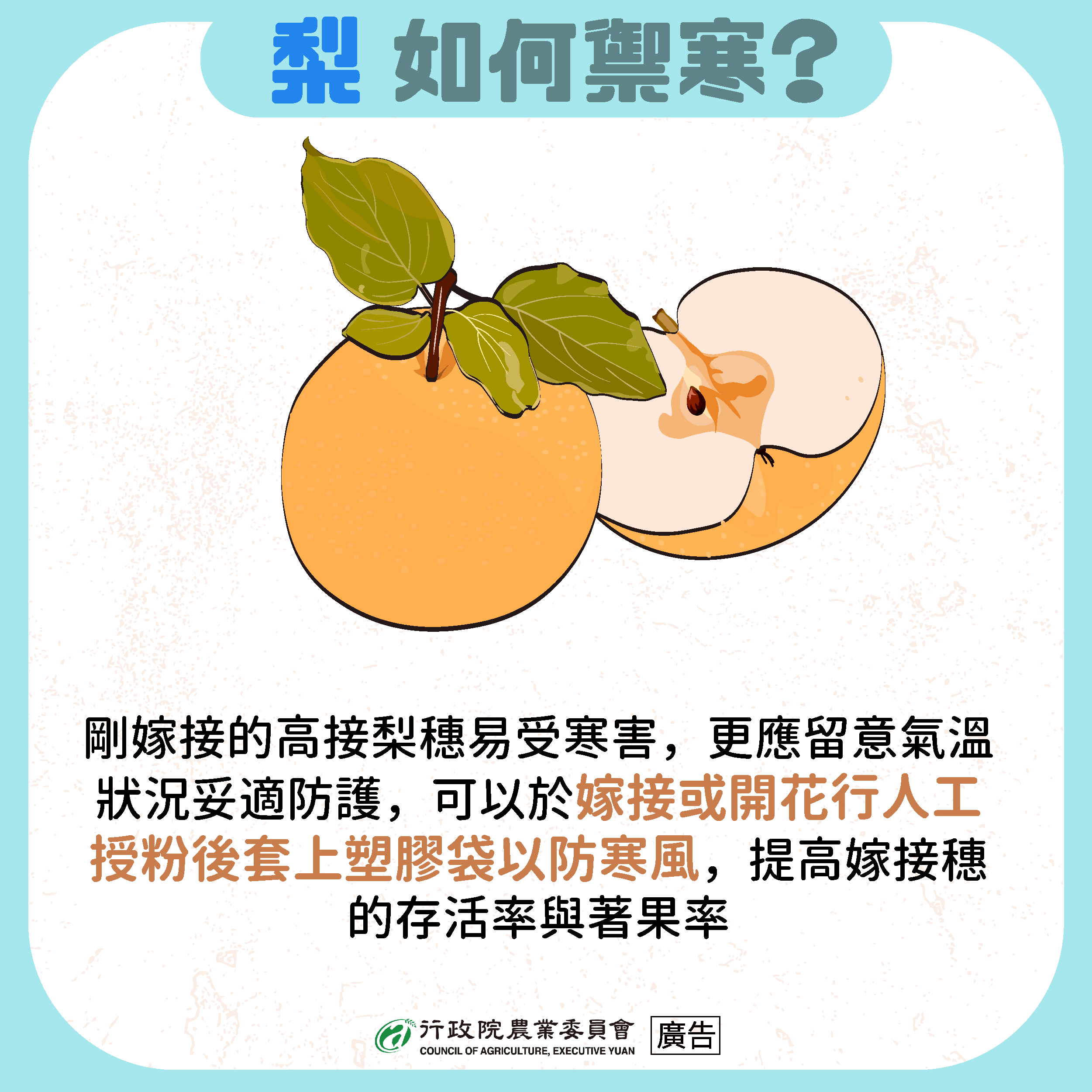 相關圖片7-6日起強烈大陸冷氣團南下 縣府農業處籲請農友採取防範措施以減少損失