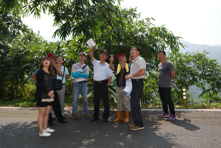 圖片-竹山4處危險農路林縣長指示速改善 山崇里旱溪農路也將拓寬
