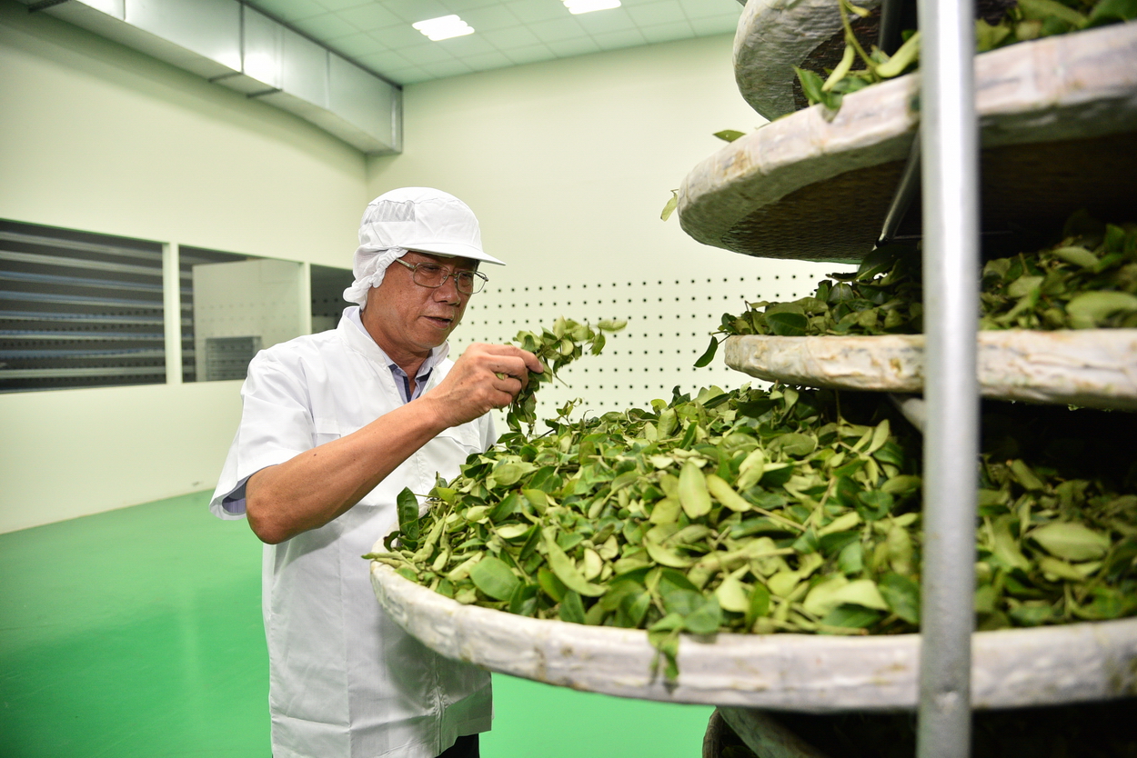 相關圖片2-林縣長訪視名間鄉茶廠  聆聽茶產業心聲