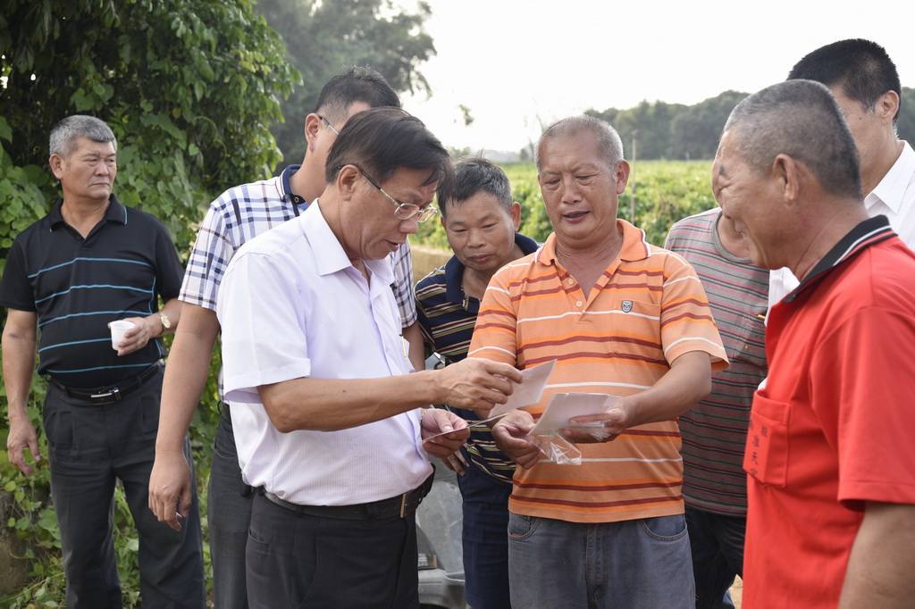 圖片-林縣長會勘名間鄉道路  將鋪柏油路及施作排水溝改善積水情形