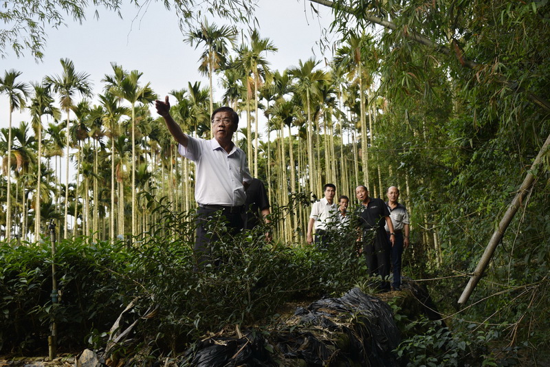 相關圖片1-林縣長會勘名間鄉道路  將鋪柏油路及施作排水溝改善積水情形