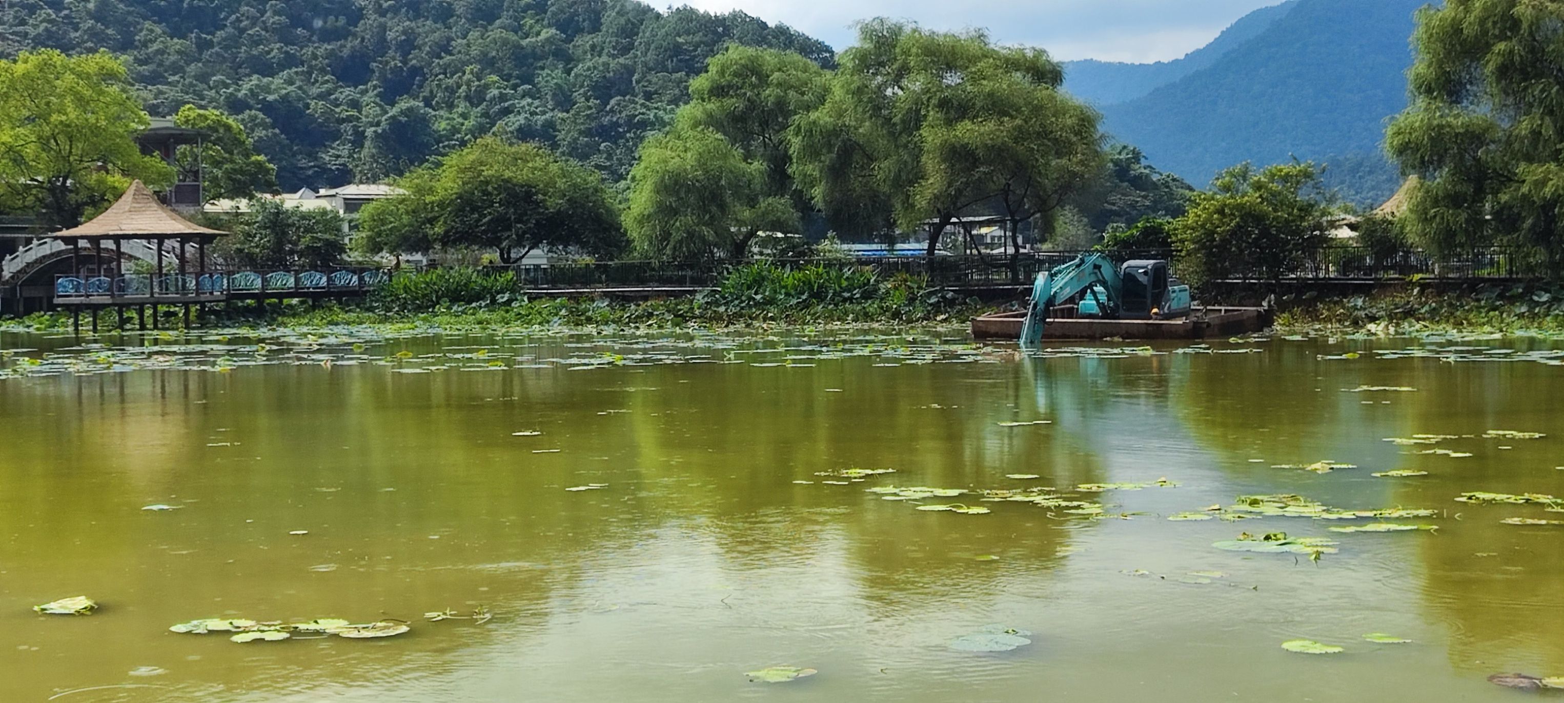 圖片-南投縣政府攜手民間守護埔里鯉魚潭水環境，邀您感受山水之美