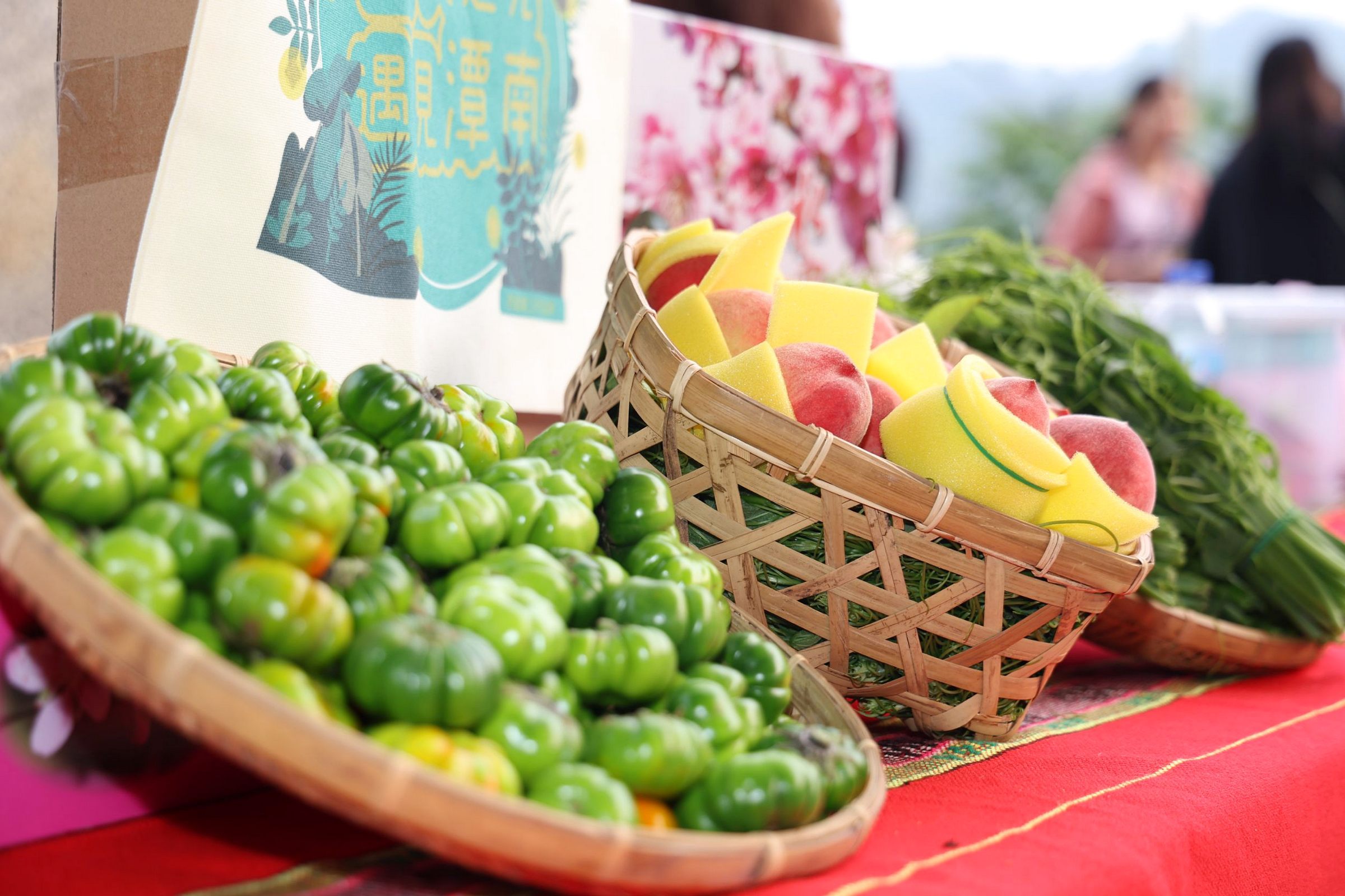 相關圖片3-「2026信義鄉螢火蟲季—螢火之光．遇見潭南」開幕  許縣長邀請遊客走訪南投四大賞螢區體驗「地上的銀河」