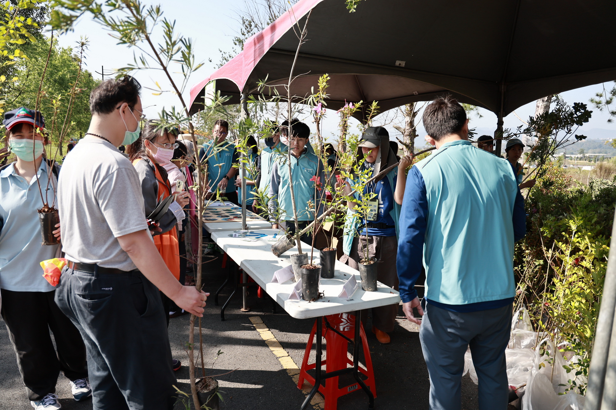 相關圖片4-植樹節活動於埔里福興溫泉區熱鬧登場