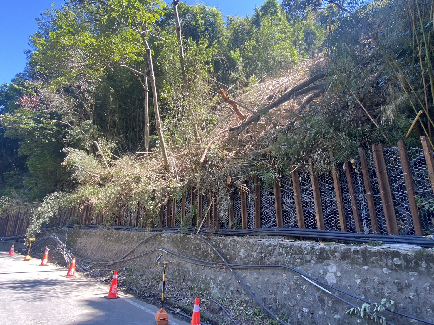 相關圖片2-因應巴威颱風　 縣府提前整備投95線東埔段防汛應變