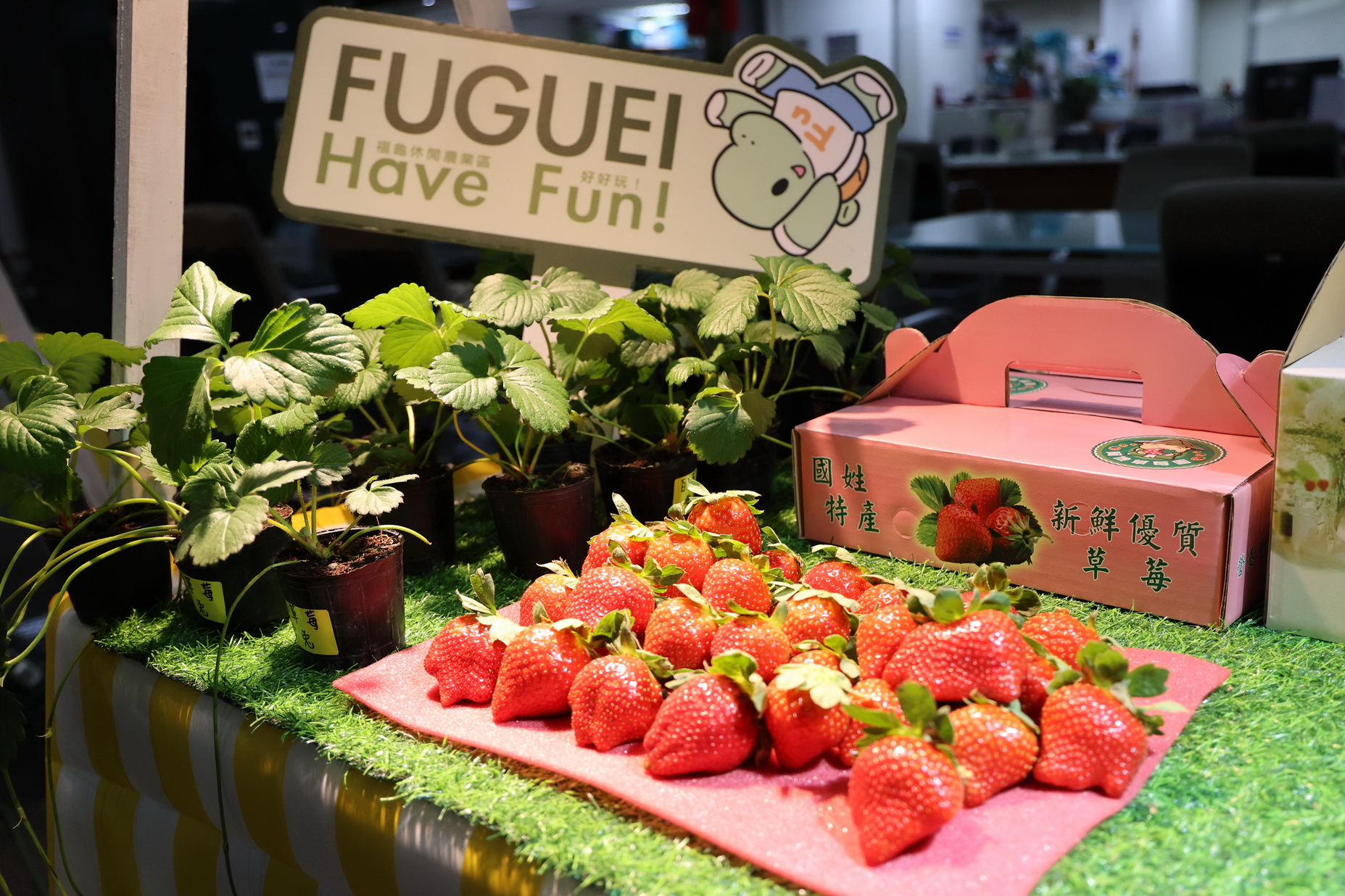 相關圖片7-南投國姓咖啡節24日登場 精品咖啡任你選再抽大獎