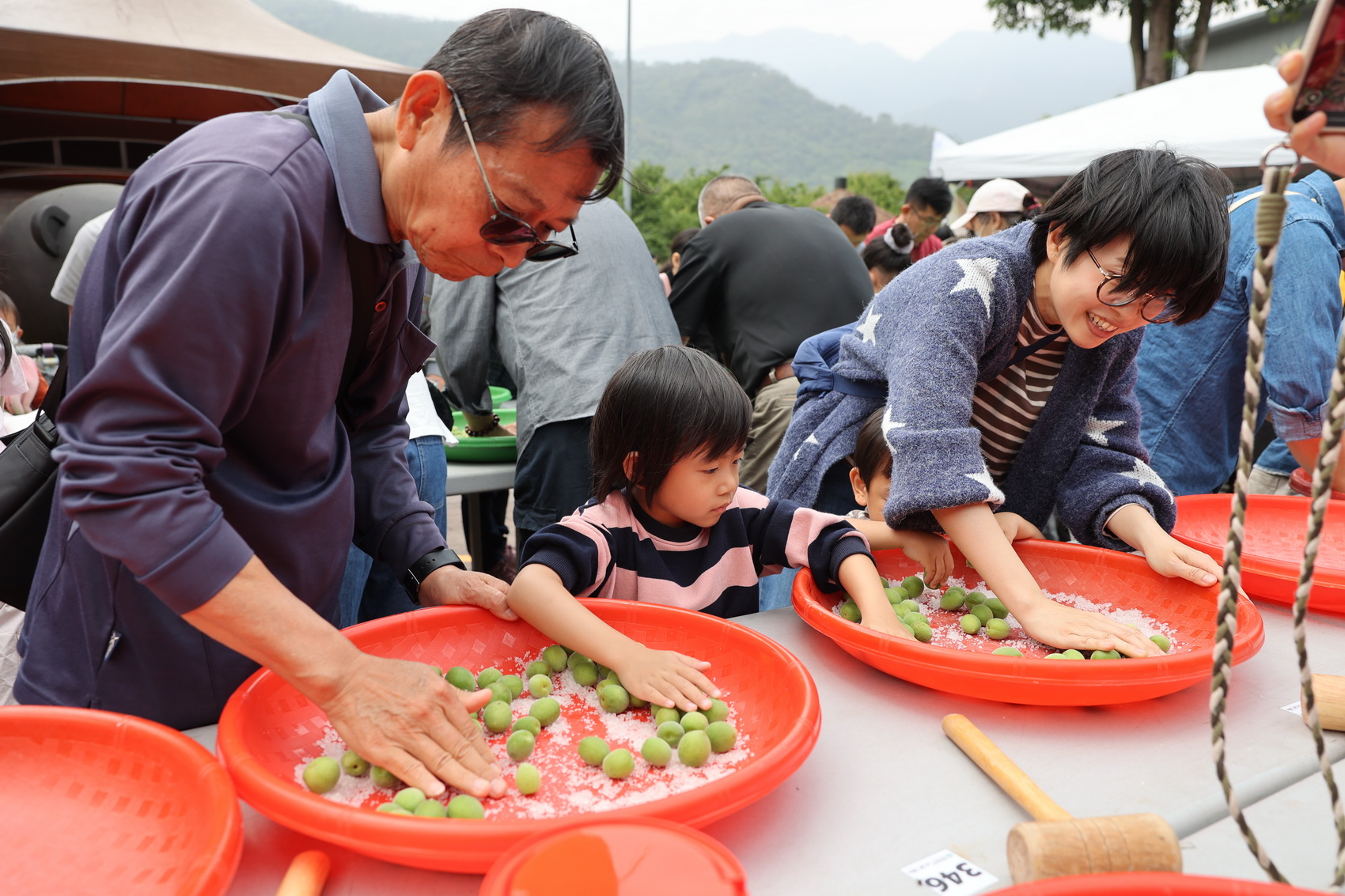 other image2-Nantou Plum Festival by Xinyi Township Farmers’ Association Launched with 500 Participants Experiencing Plum Making, Mach 29th