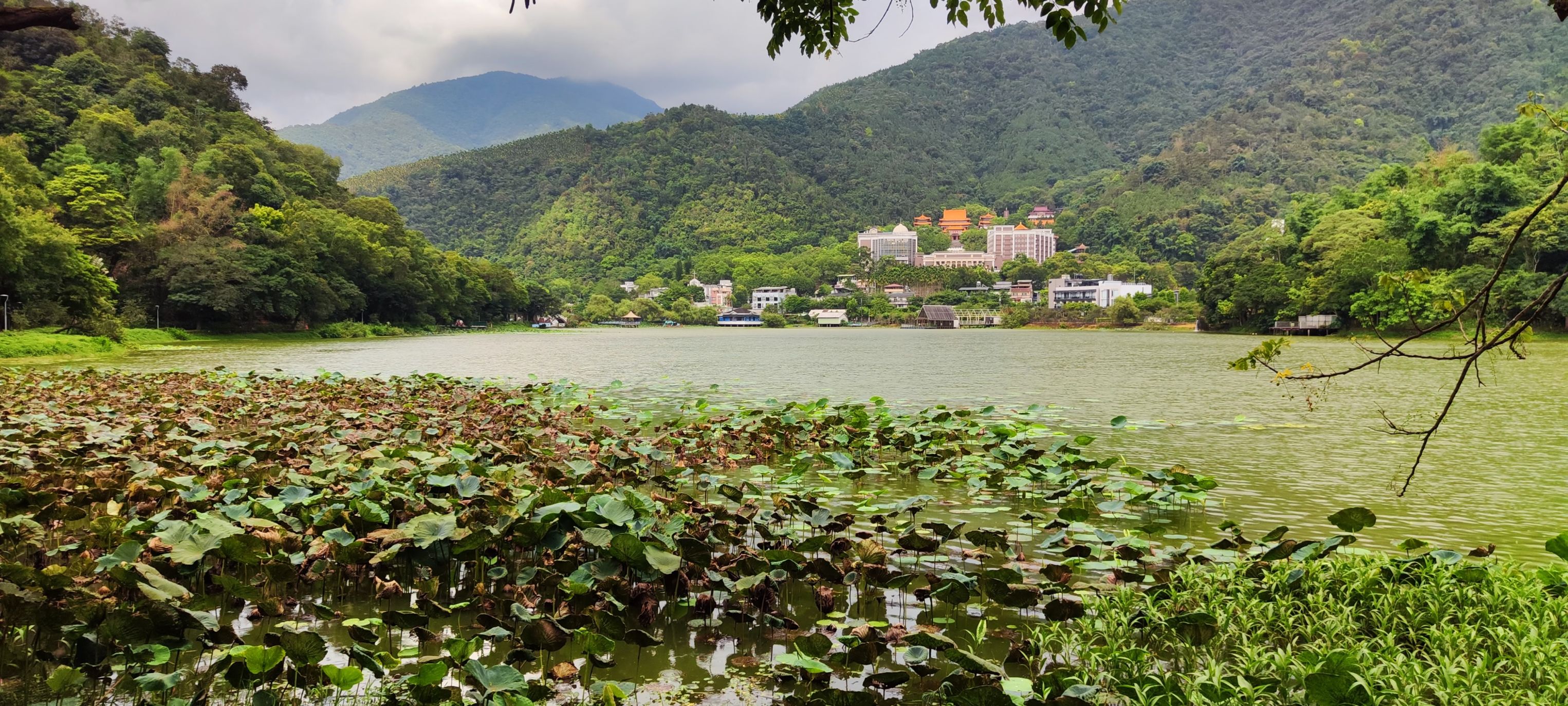 相關圖片2-南投縣政府攜手民間守護埔里鯉魚潭水環境，邀您感受山水之美
