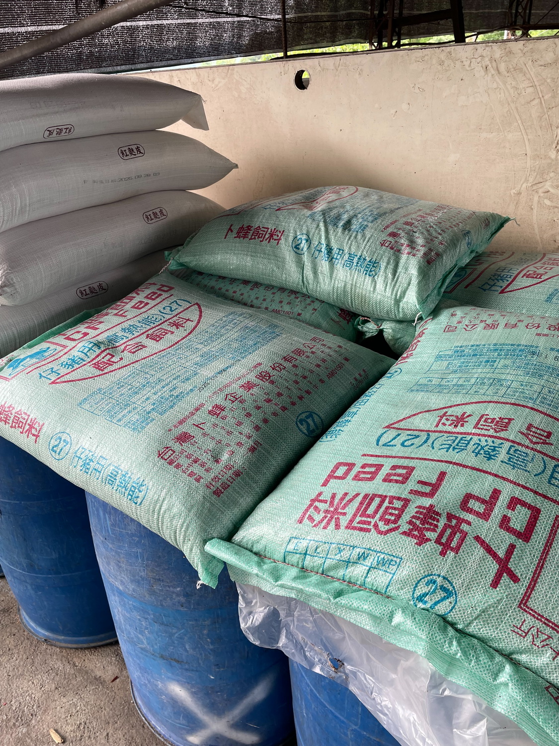 相關圖片6-防治非洲豬瘟 縣府積極清消 學校營養午餐菜色彈性調整