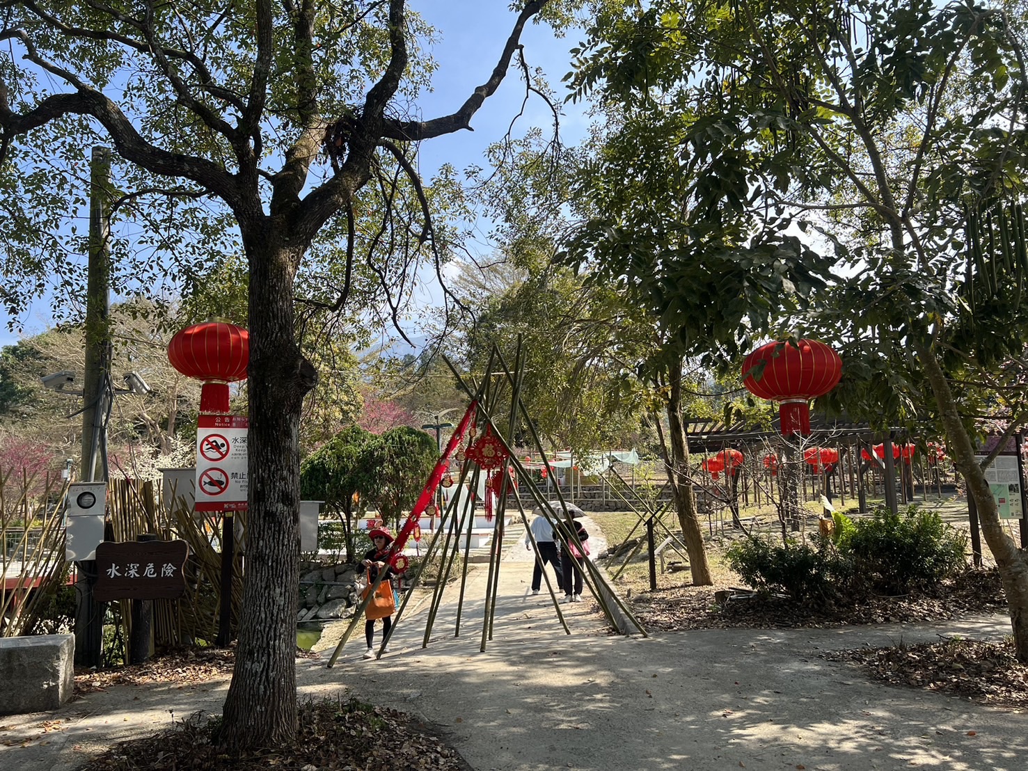 相關圖片2-「竹夢森活・與竹共鳴」 鹿谷小半天盛大登場