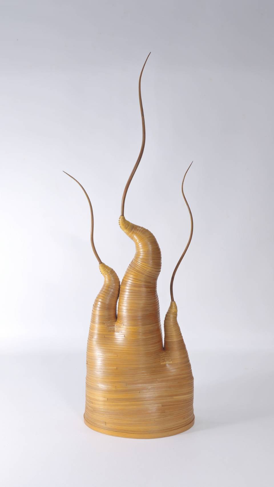 文章圖片-『竹見新境-現代竹藝造型探塑』-2025王凱鶴駐館成果展