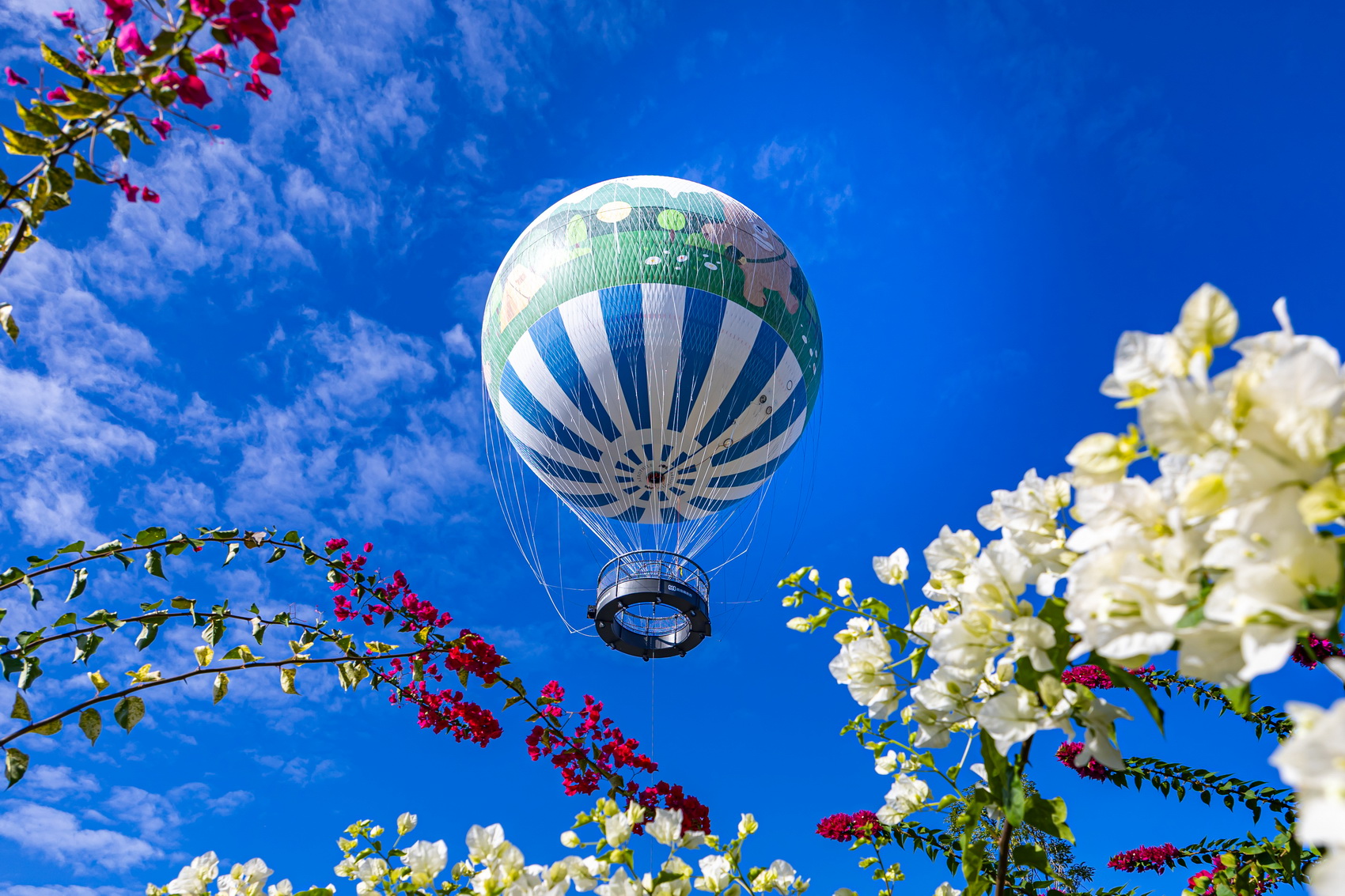 相關圖片1-九九峰氦氣球樂園將於11日啟用　12日起開放全國民眾預約