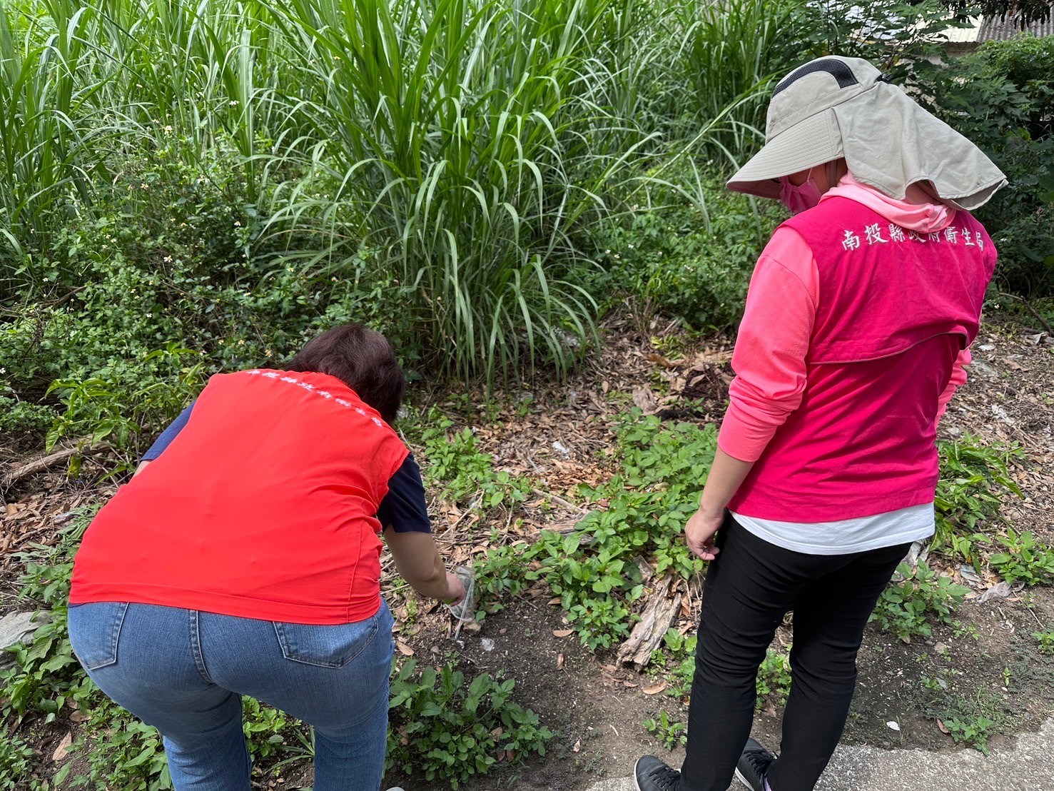 相關圖片1-戶外防護做得好，不怕恙蟲來打擾！